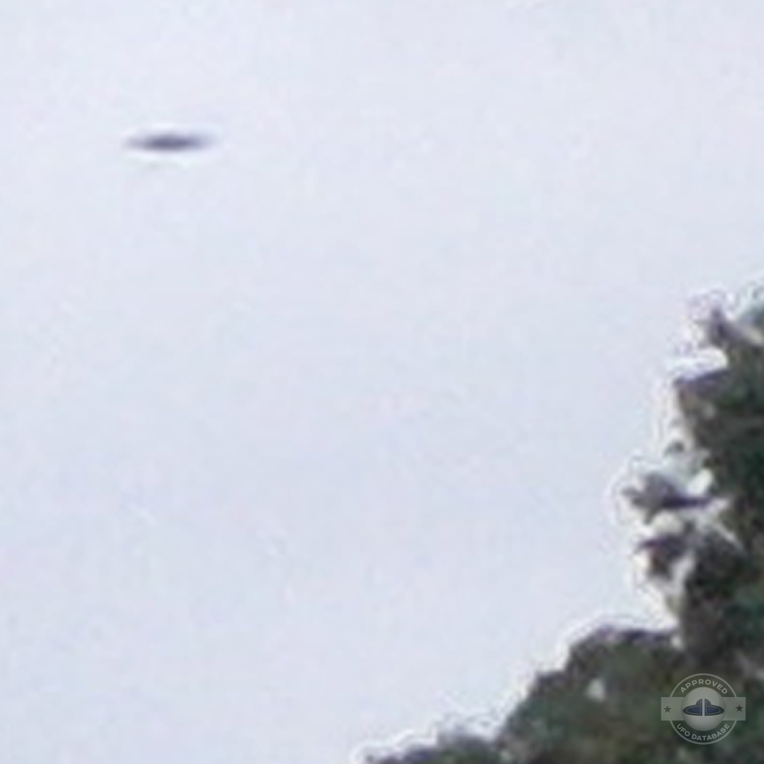 Brazil UFO Sighting | UFO picture captured from bedroom window | 2011 UFO Picture #169-5