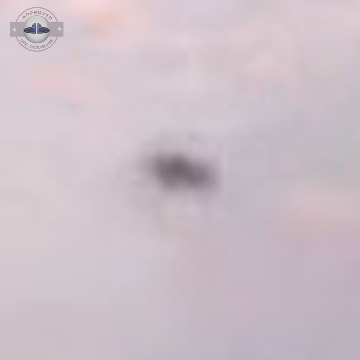 UFO flying over pasture with lama and horse in grey cloudy sky UFO Picture #19-4