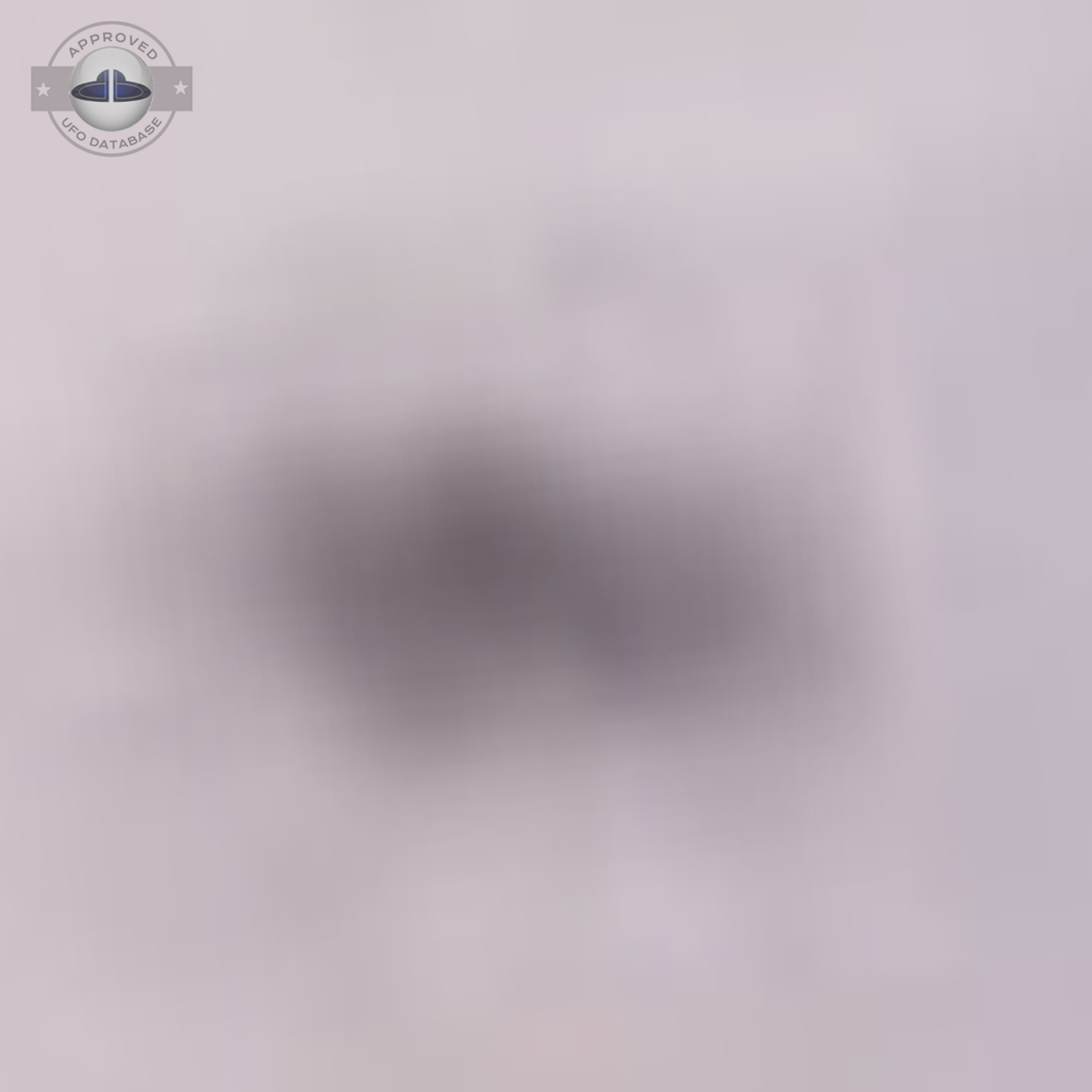 UFO flying over pasture with lama and horse in grey cloudy sky UFO Picture #19-5