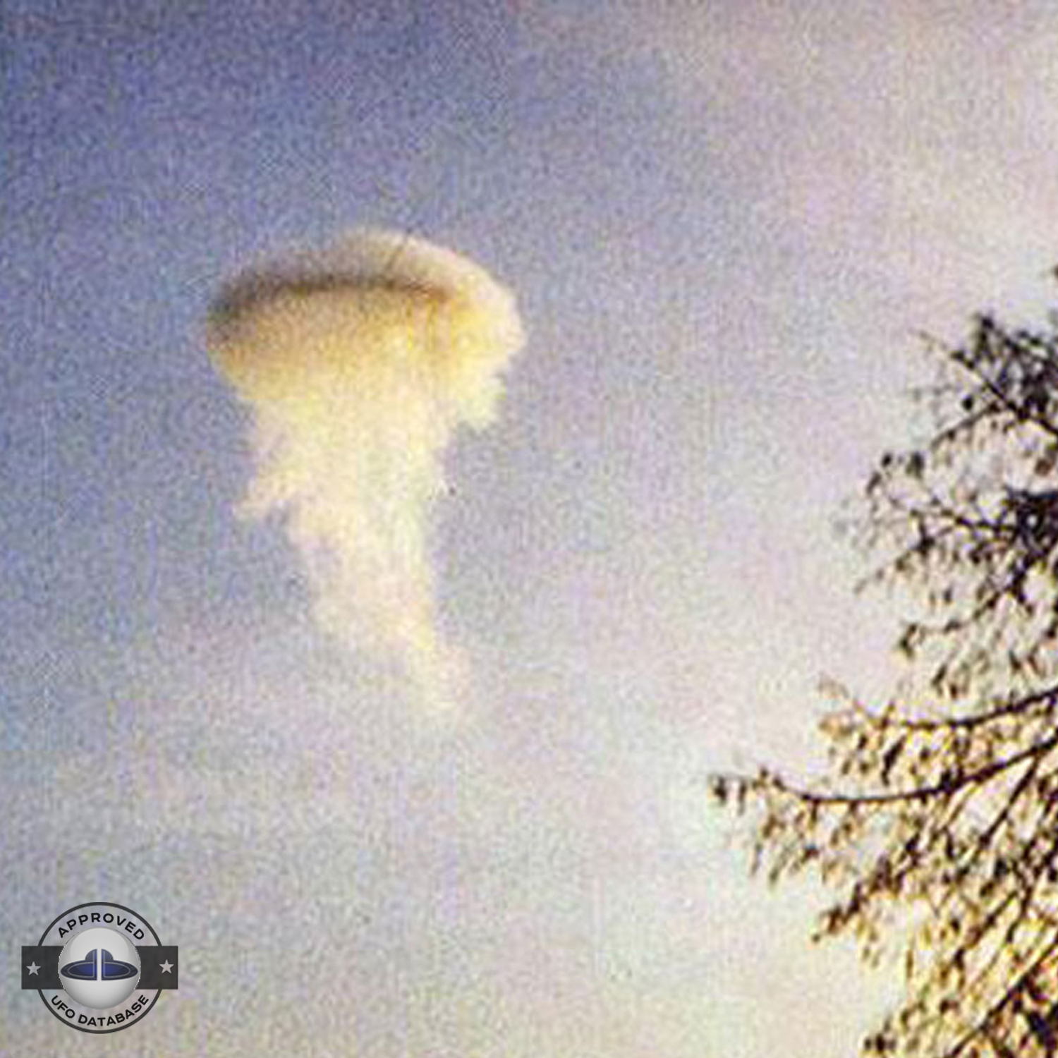 Best UFO picture showing UFO in Cloud disguise | Viborg, Denmark 1974 UFO Picture #222-2