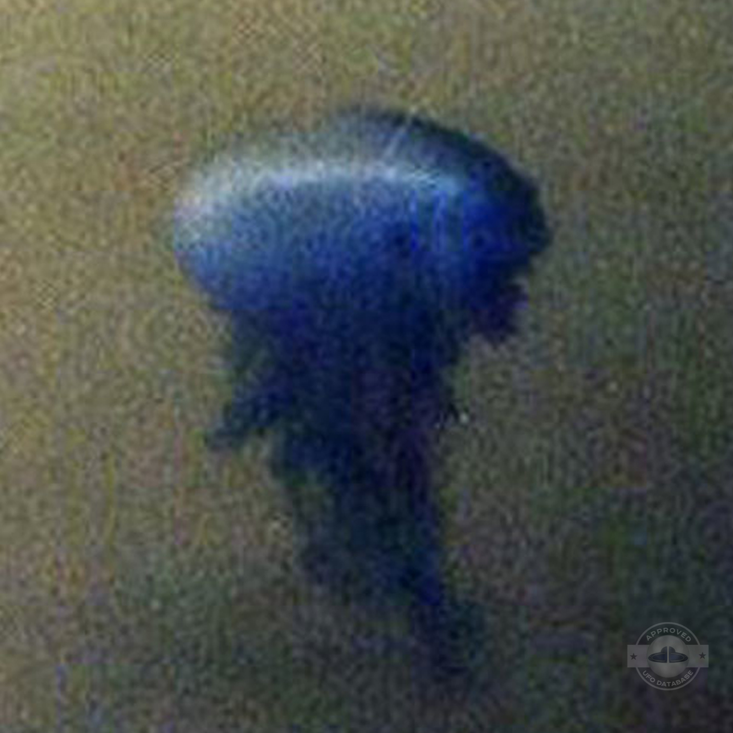 Best UFO picture showing UFO in Cloud disguise | Viborg, Denmark 1974 UFO Picture #222-4