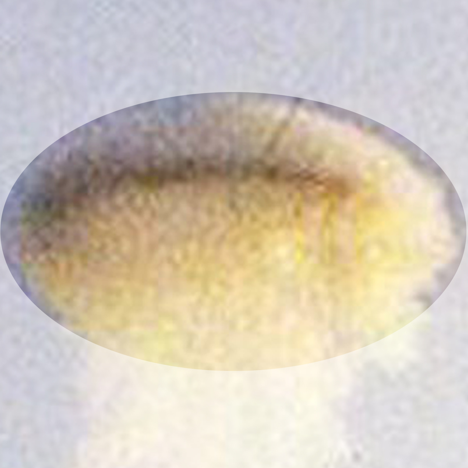 Best UFO picture showing UFO in Cloud disguise | Viborg, Denmark 1974 UFO Picture #222-6