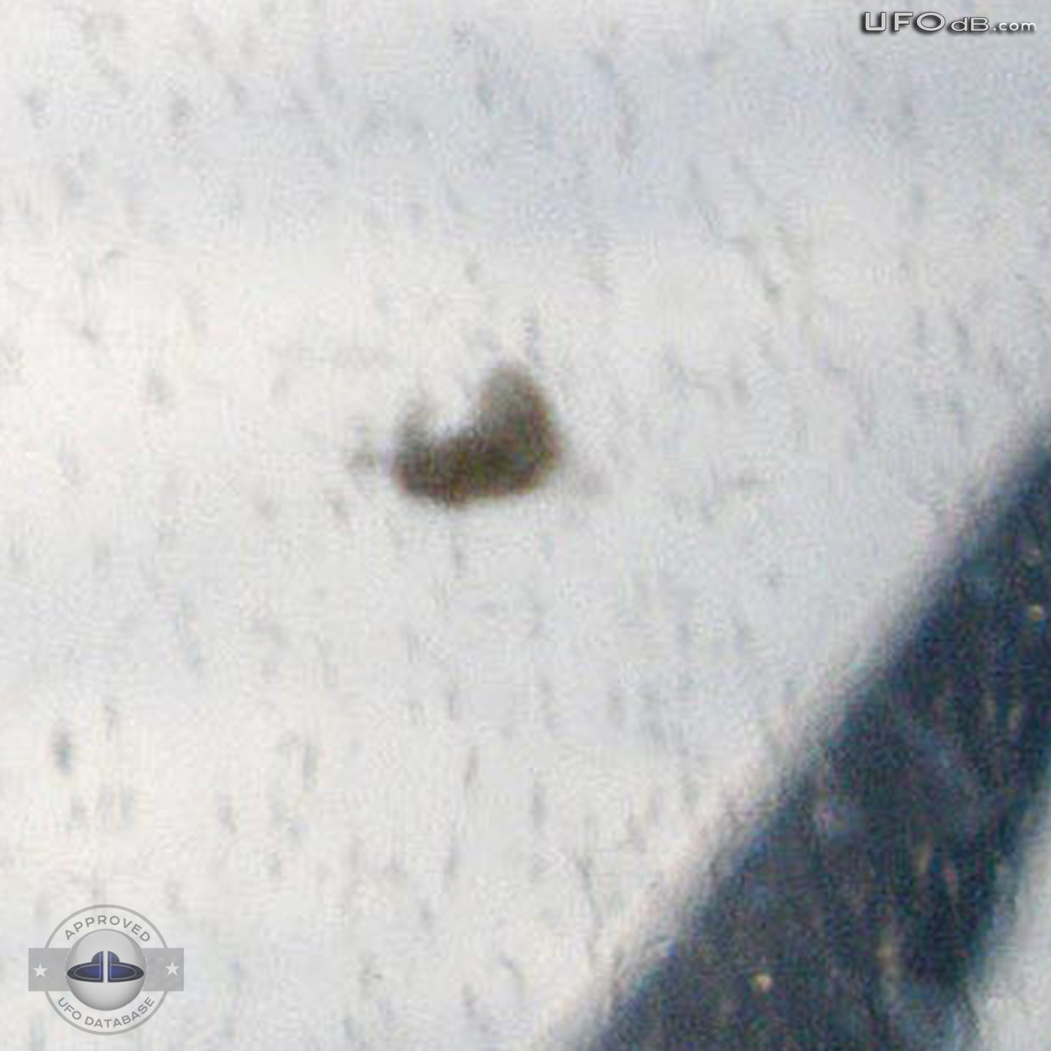 Cloaking UFO near wing of flying Airplane in Australia | January 2011 UFO Picture #243-4