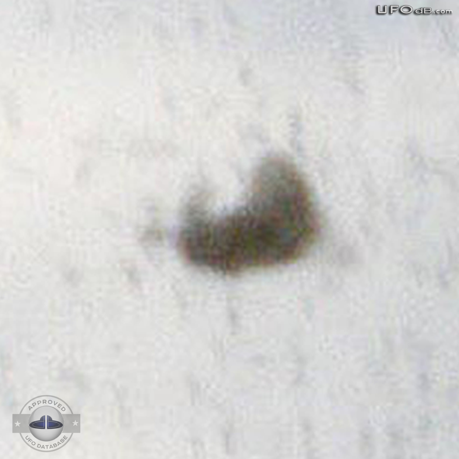 Cloaking UFO near wing of flying Airplane in Australia | January 2011 UFO Picture #243-5