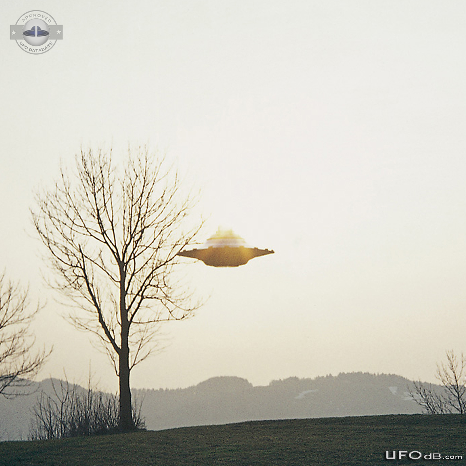 Alien of Pleiadian race driving a UFO | Billy Meier | Switzerland 1976 UFO Picture #256-5