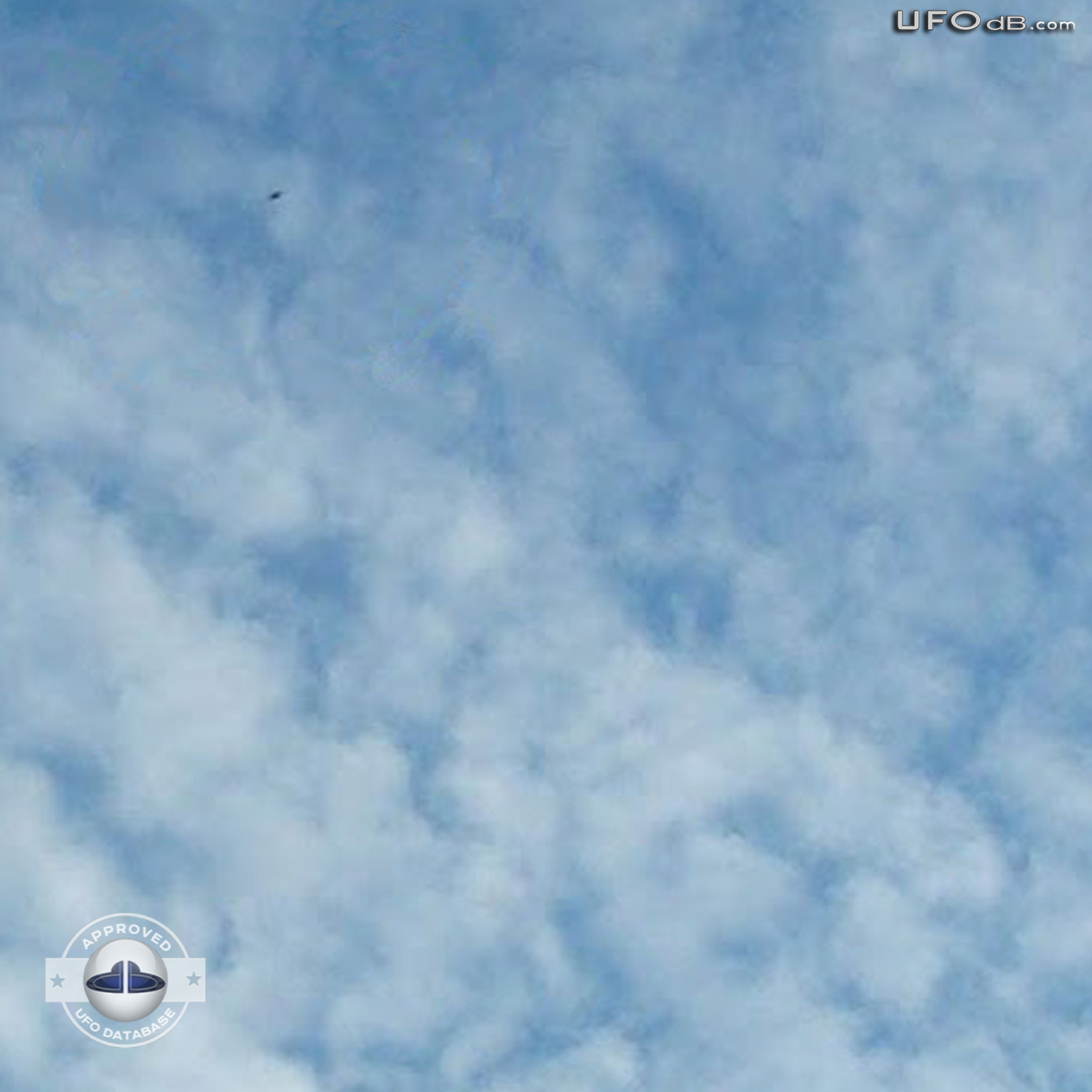 Three months of massive UFO sightings in Argentina | February 20 2011 UFO Picture #267-2