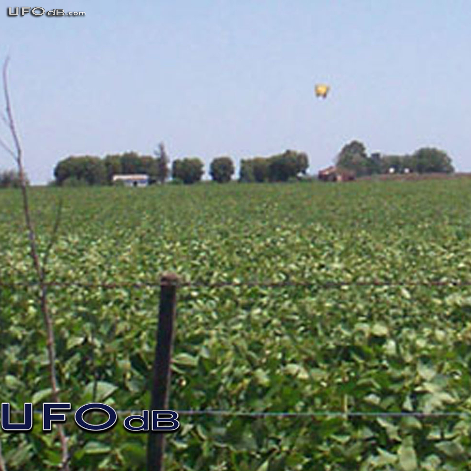 Family in Argentina blames a UFO for their sickness | February 28 2011 UFO Picture #271-2