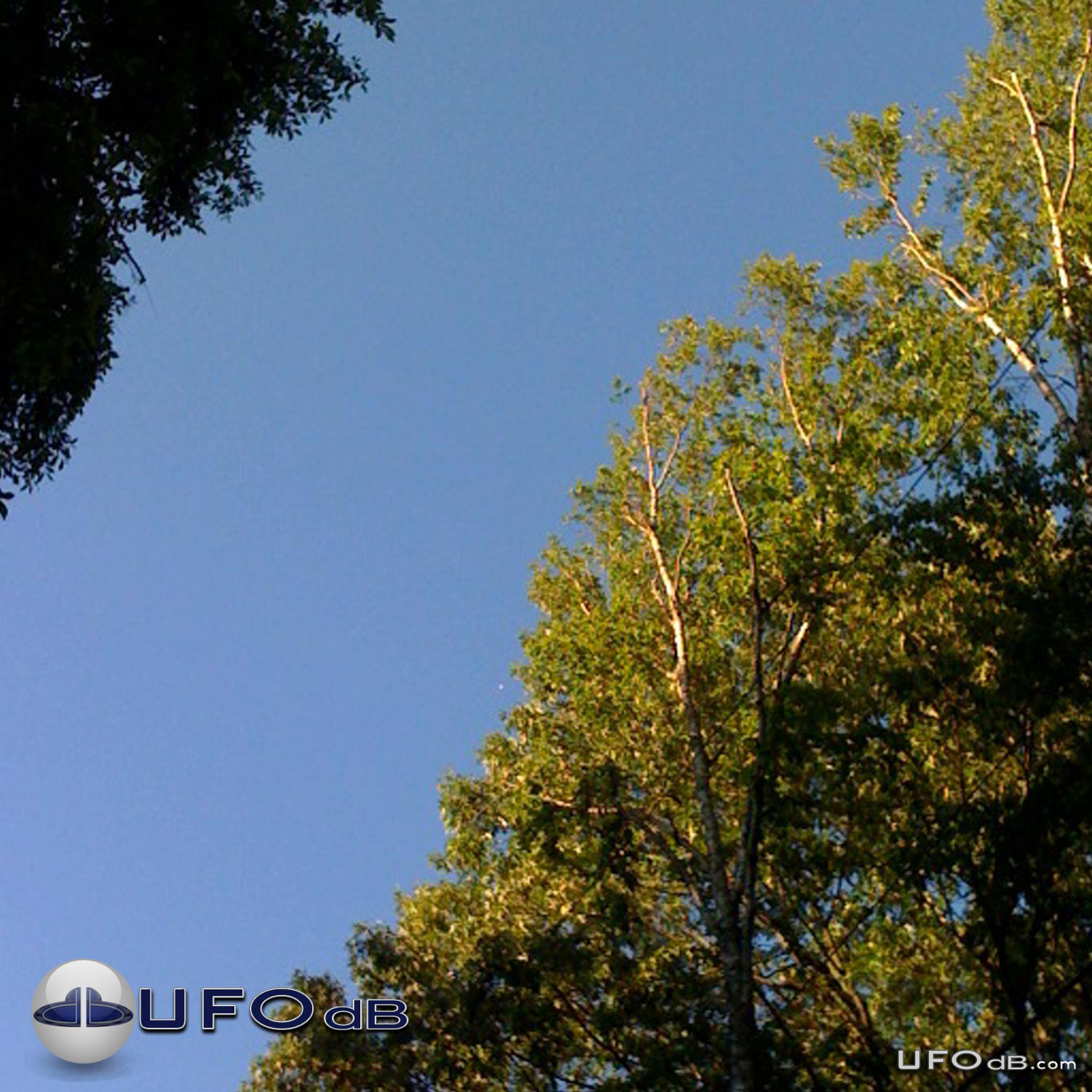 Smooth Linear moving UFO caught on picture | Tennessee, USA | May 2011 UFO Picture #282-1