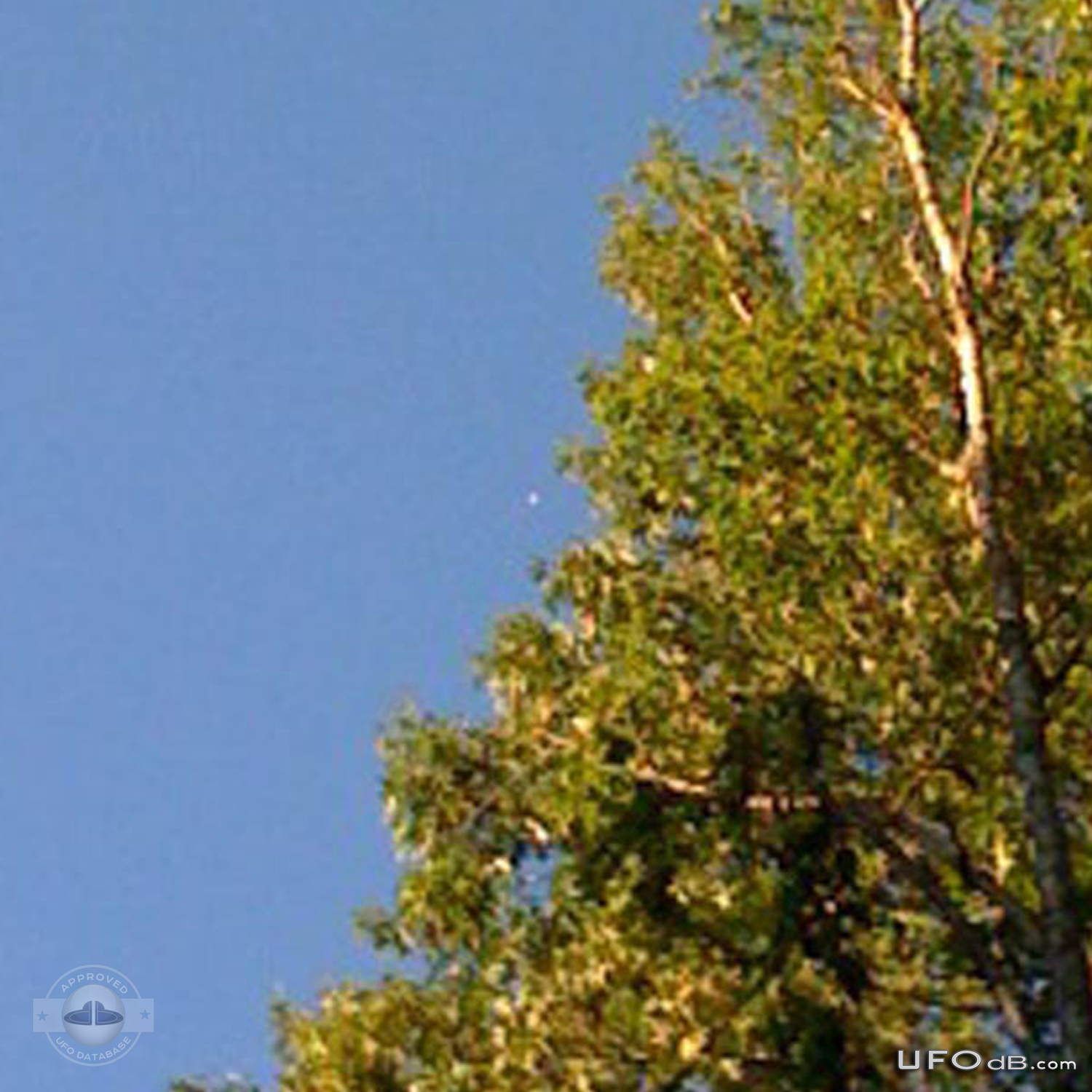 Smooth Linear moving UFO caught on picture | Tennessee, USA | May 2011 UFO Picture #282-2
