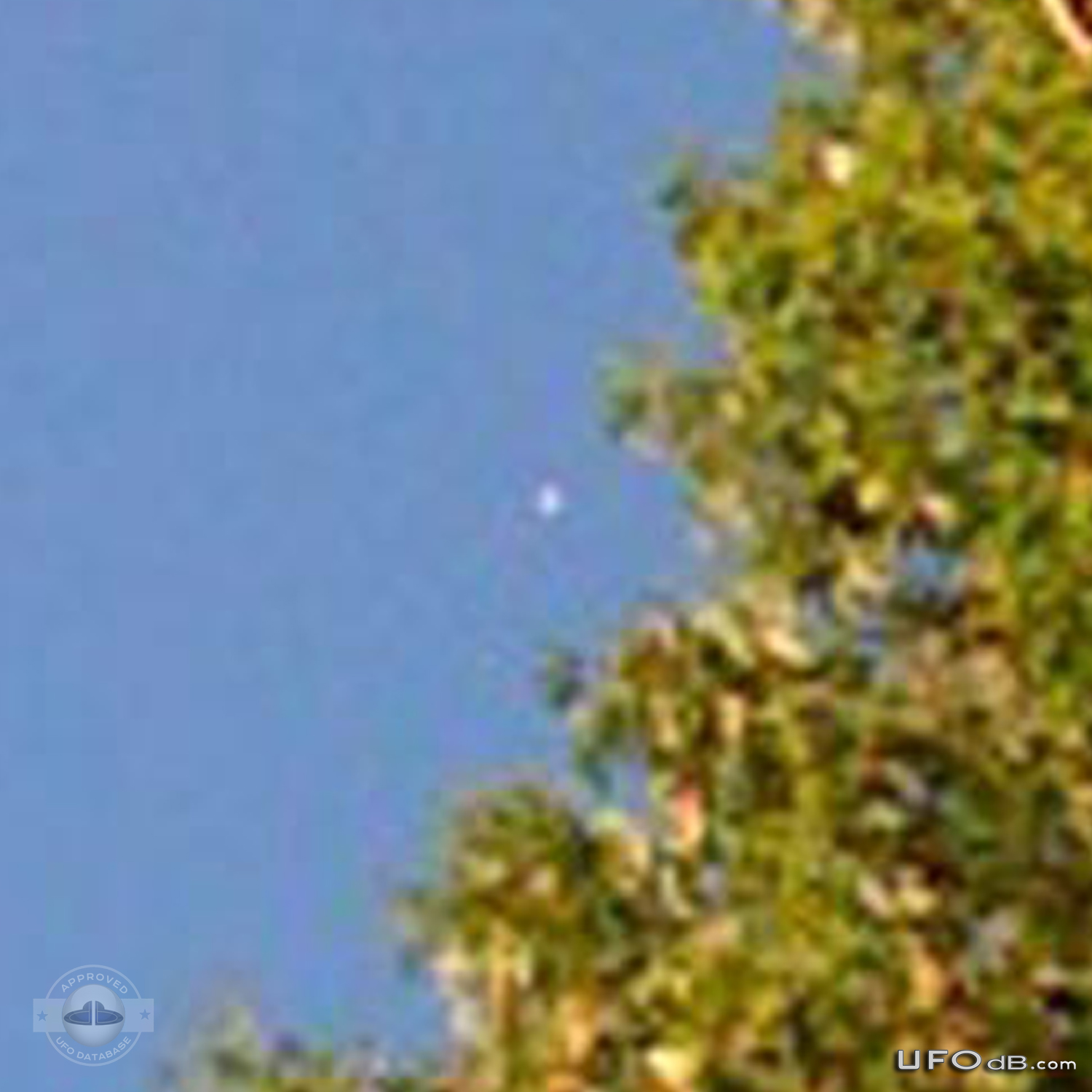 Smooth Linear moving UFO caught on picture | Tennessee, USA | May 2011 UFO Picture #282-3