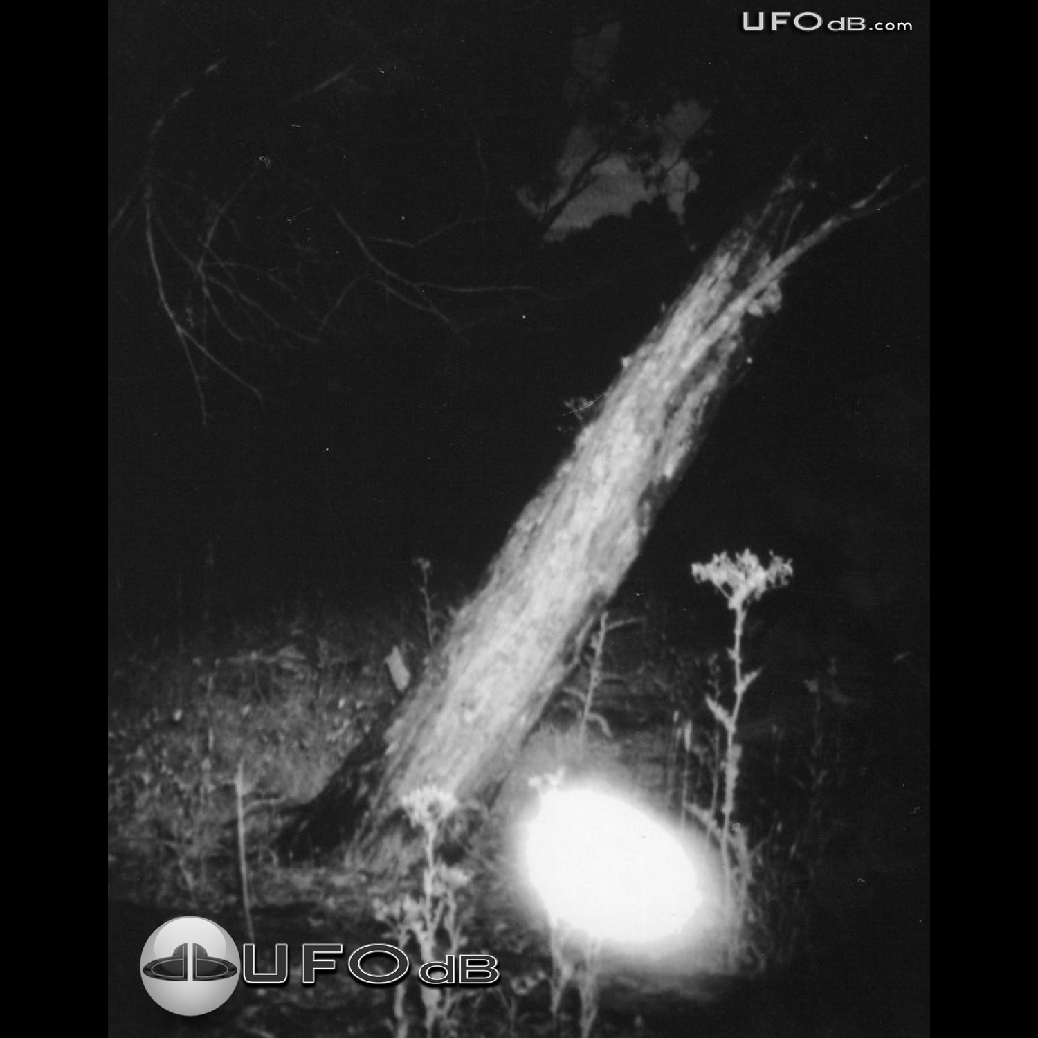 Intelligently Controlled UFO probe seen in Stawell | Australia | 2008 UFO Picture #319-1