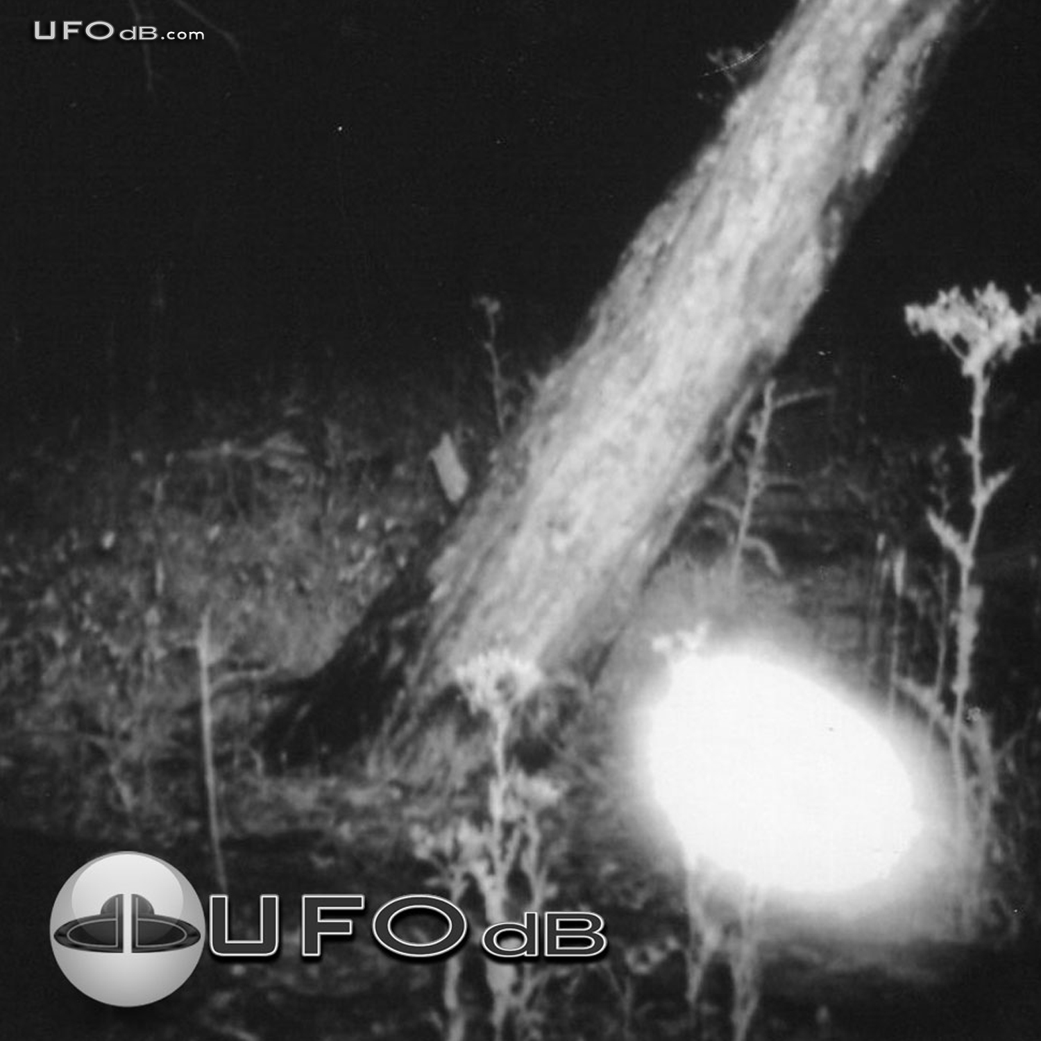 Intelligently Controlled UFO probe seen in Stawell | Australia | 2008 UFO Picture #319-2