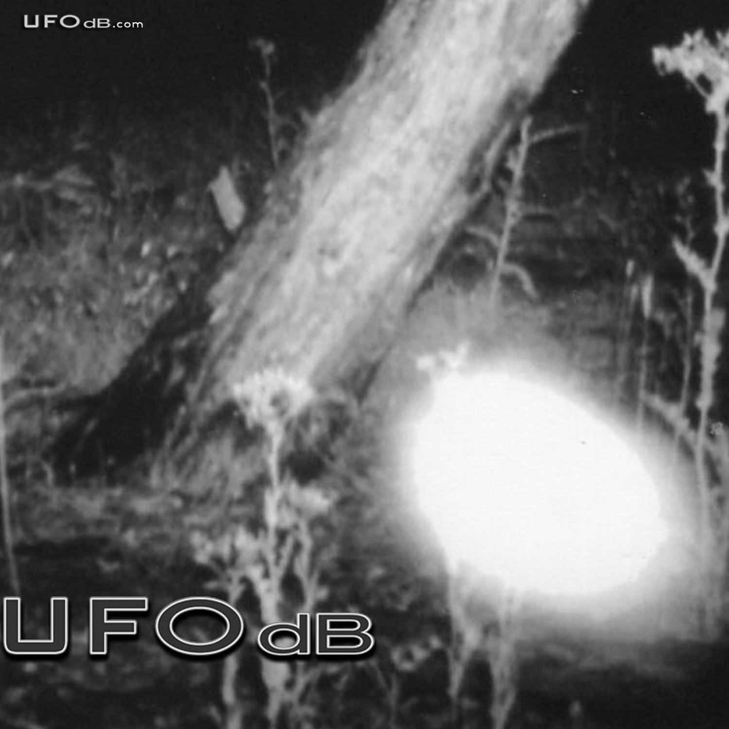 Intelligently Controlled UFO probe seen in Stawell | Australia | 2008 UFO Picture #319-3