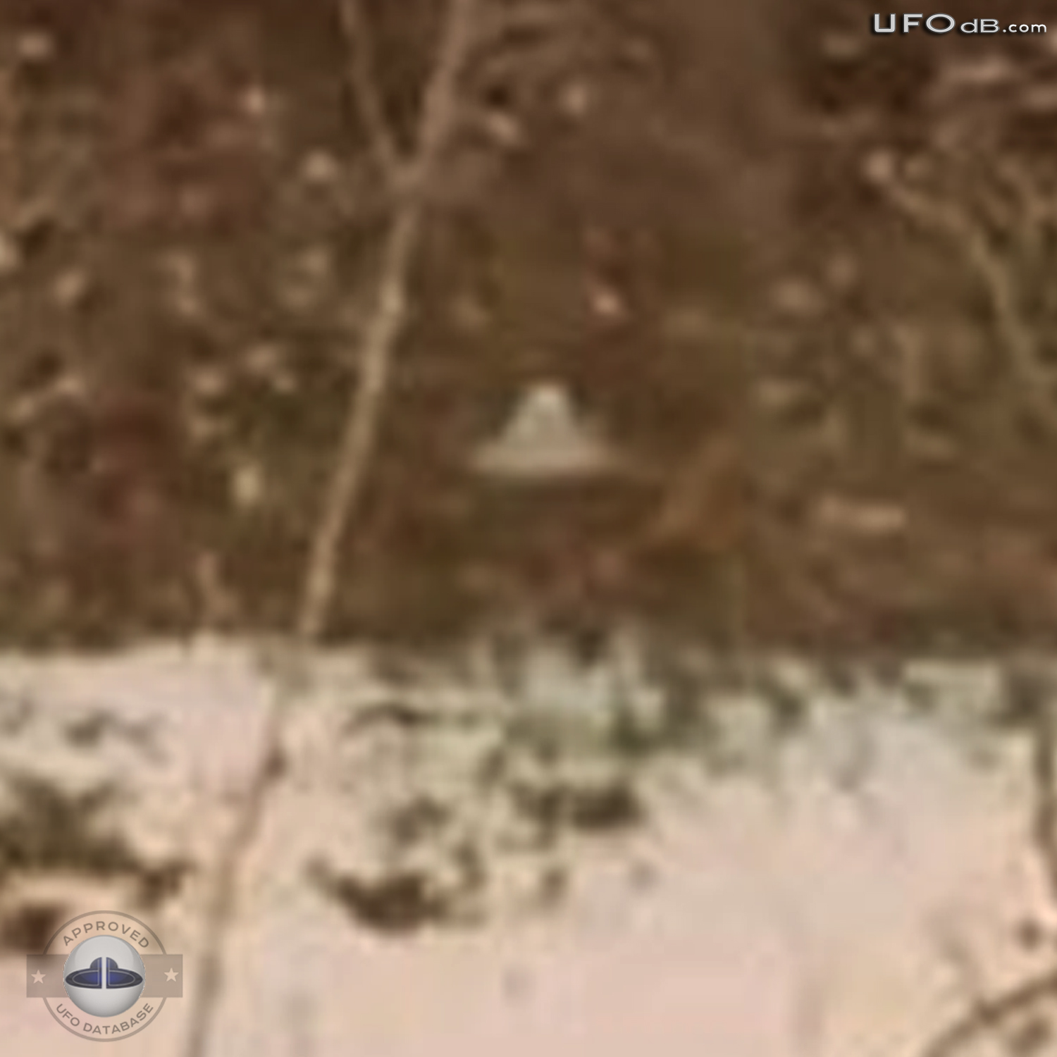 Suonenjoki UFO probe going around trees in the forest | March 16 1979 UFO Picture #336-4