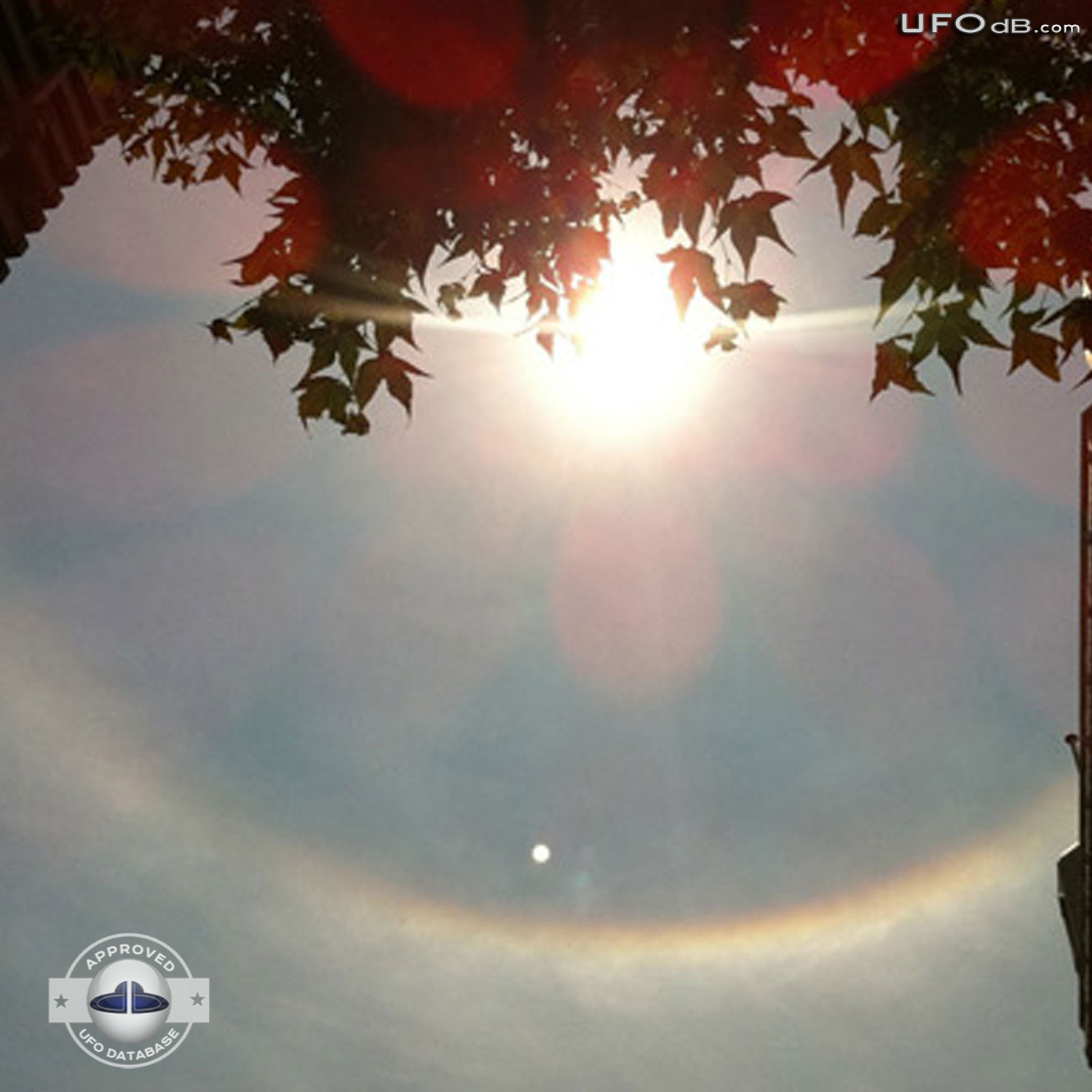 Huge halo around the sun with UFO moving near by in Johannesburg 2010 UFO Picture #348-1