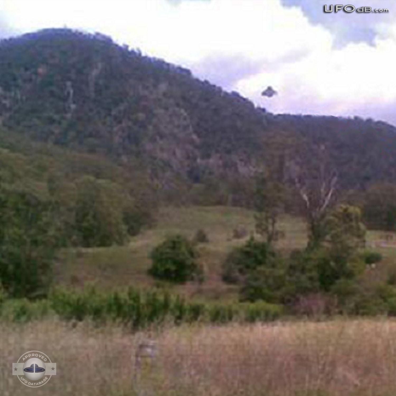 Australian Gold prospector capture UFO on picture in New South Wales UFO Picture #354-1