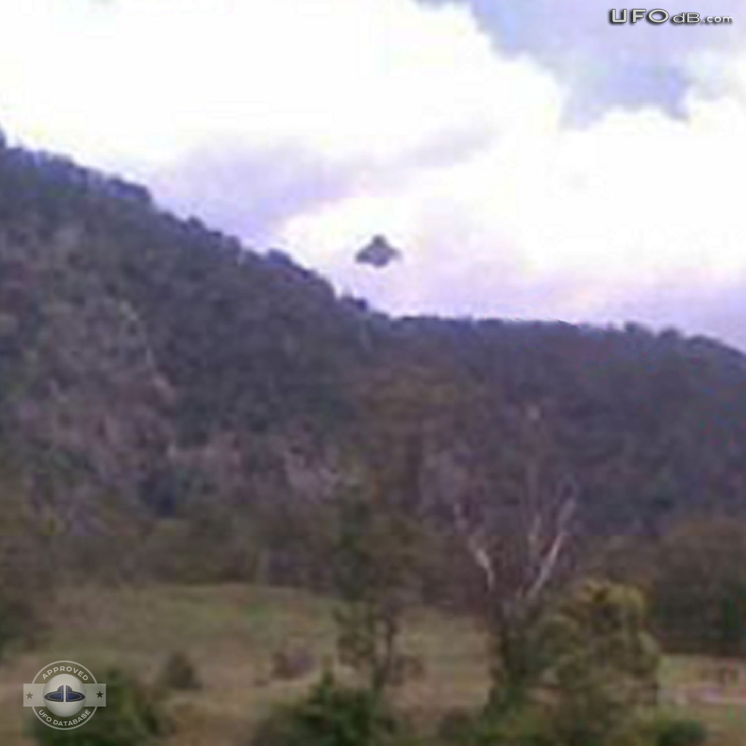 Australian Gold prospector capture UFO on picture in New South Wales UFO Picture #354-2