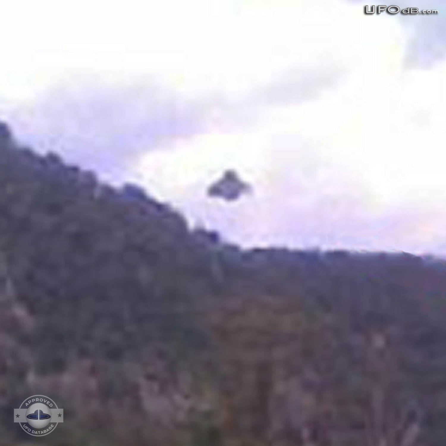 Australian Gold prospector capture UFO on picture in New South Wales UFO Picture #354-3