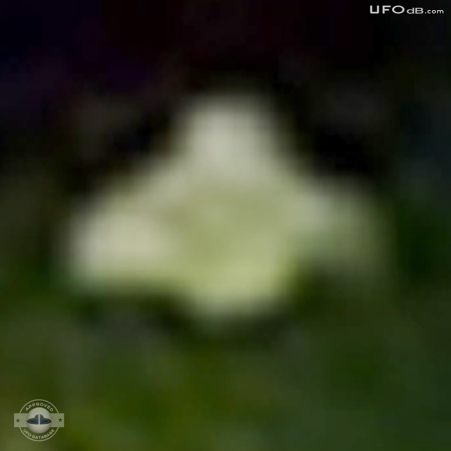 Australian Gold prospector capture UFO on picture in New South Wales UFO Picture #354-6