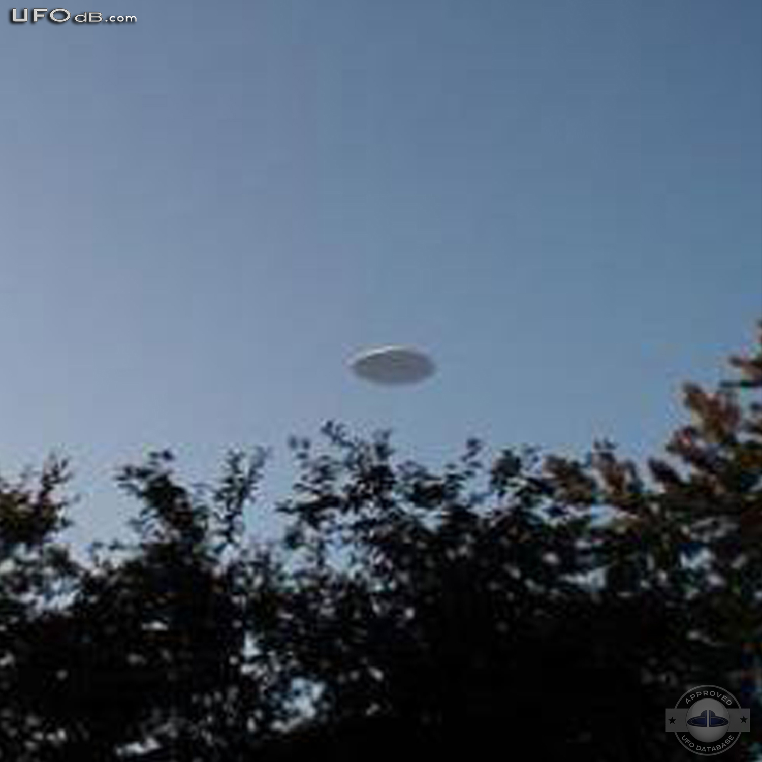 In Vestal New York a witness sees a UFO as large as a Football Stadium UFO Picture #363-1