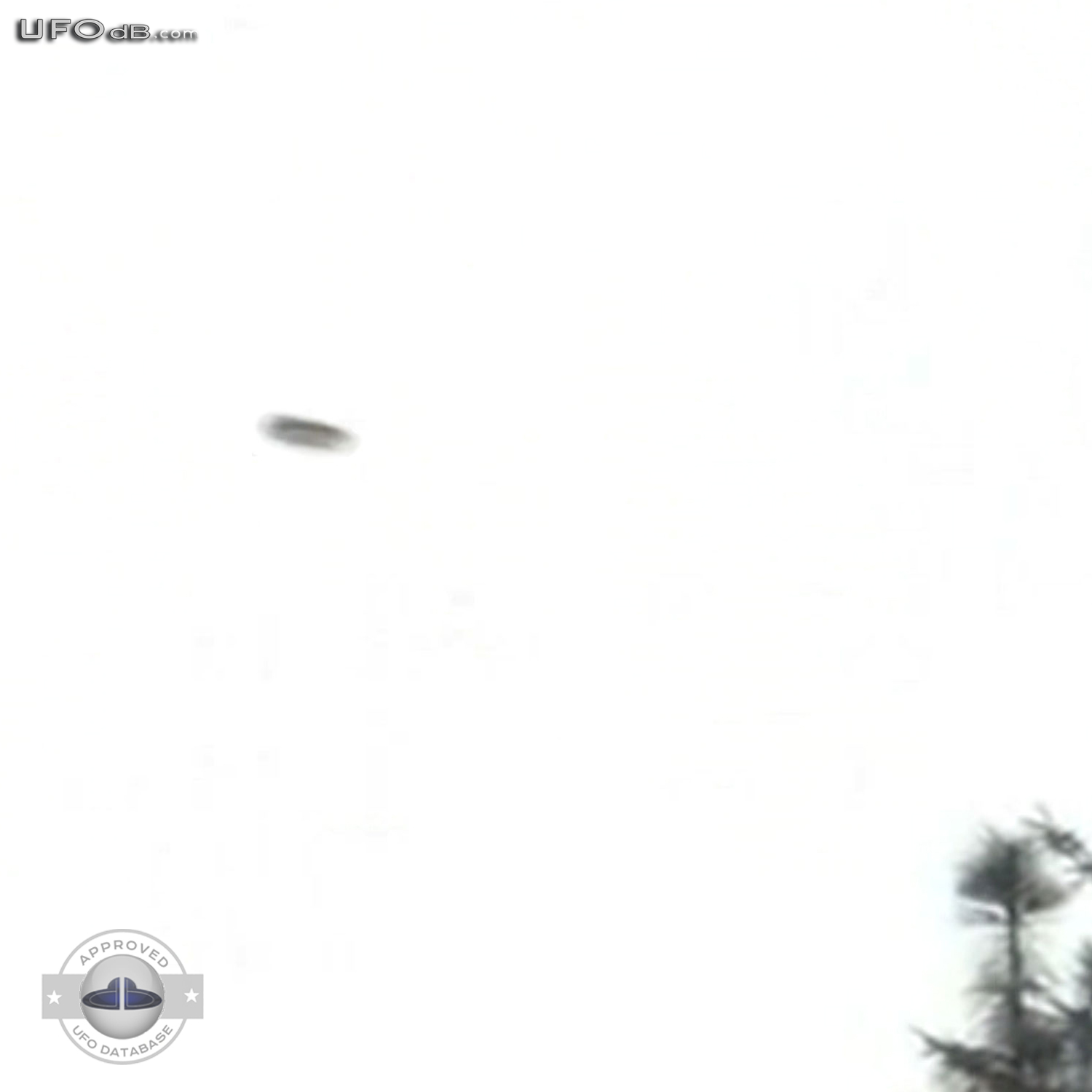 Camera test captures UFO in the sky in Mimon, Liberec, Czech Republic UFO Picture #371-3