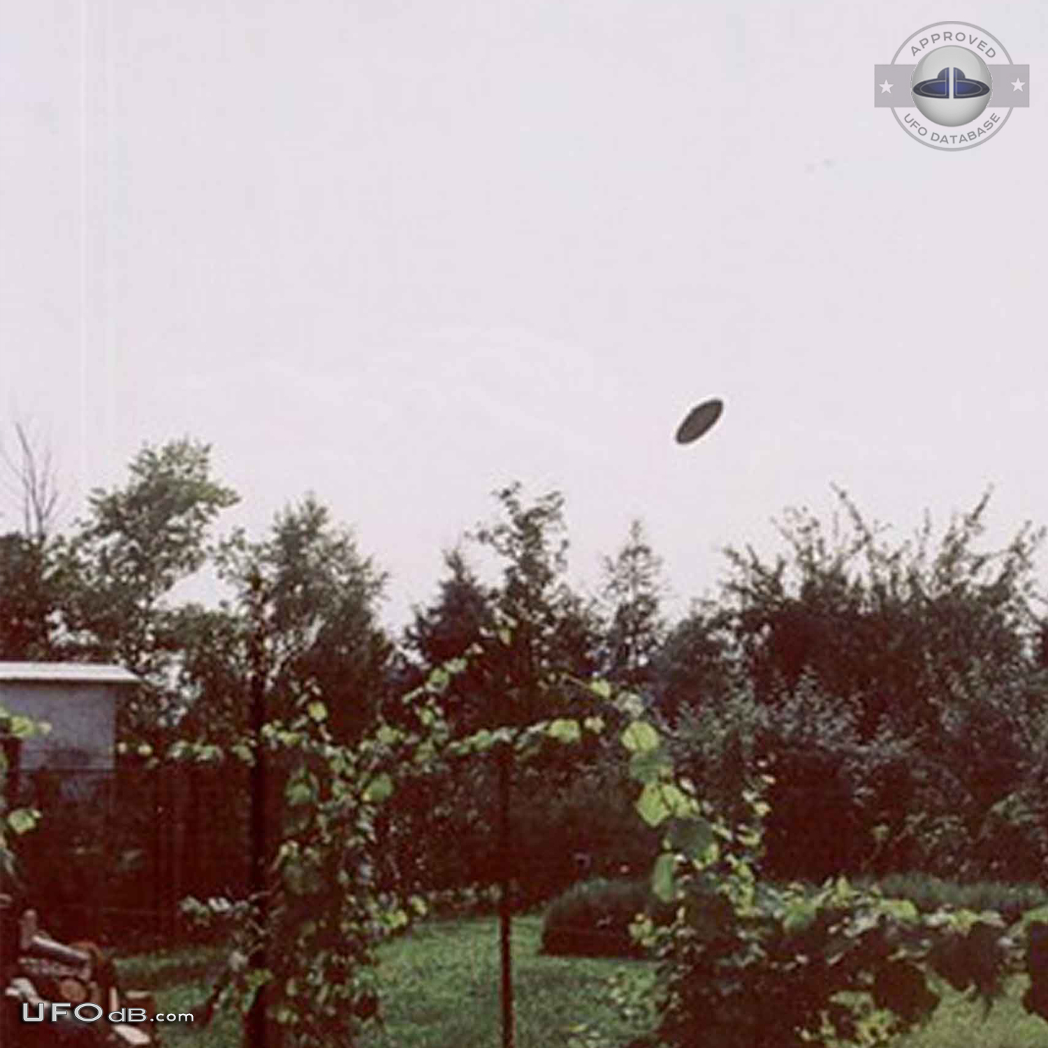 Poland 2003 Ufo sighting get aircrafts dispatched to check out the ufo UFO Picture #379-5