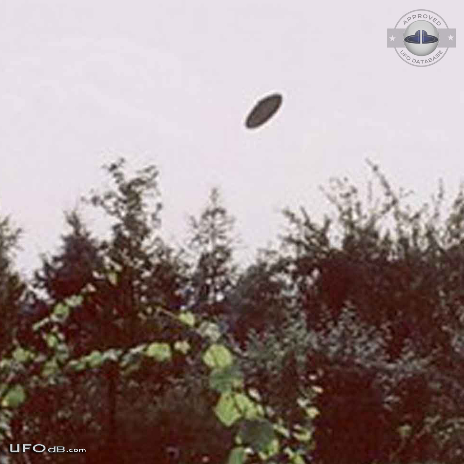 Poland 2003 Ufo sighting get aircrafts dispatched to check out the ufo UFO Picture #379-6