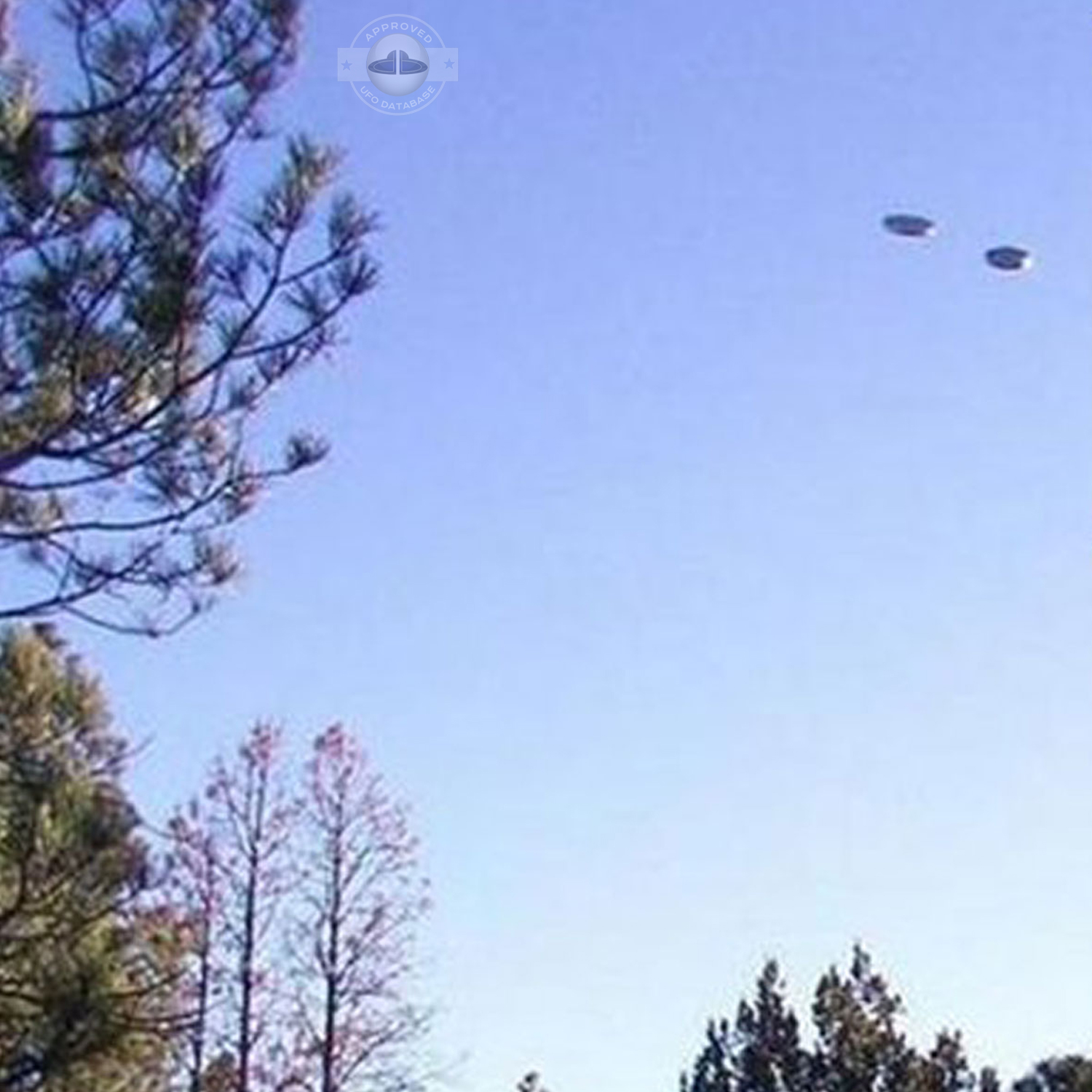 UFO over New Mexico - UFOdB.com - UFO pictures UFO Picture #4-2