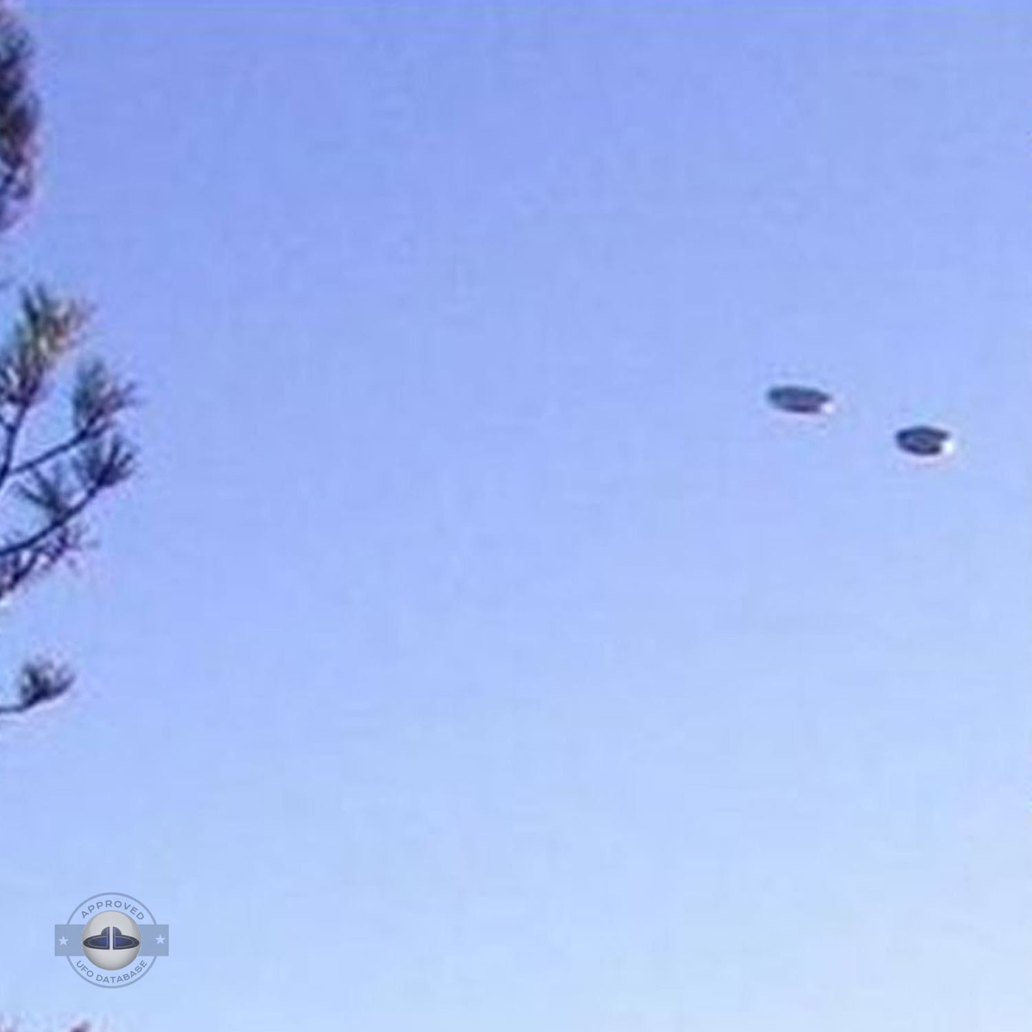UFO over New Mexico - UFOdB.com - UFO pictures UFO Picture #4-3