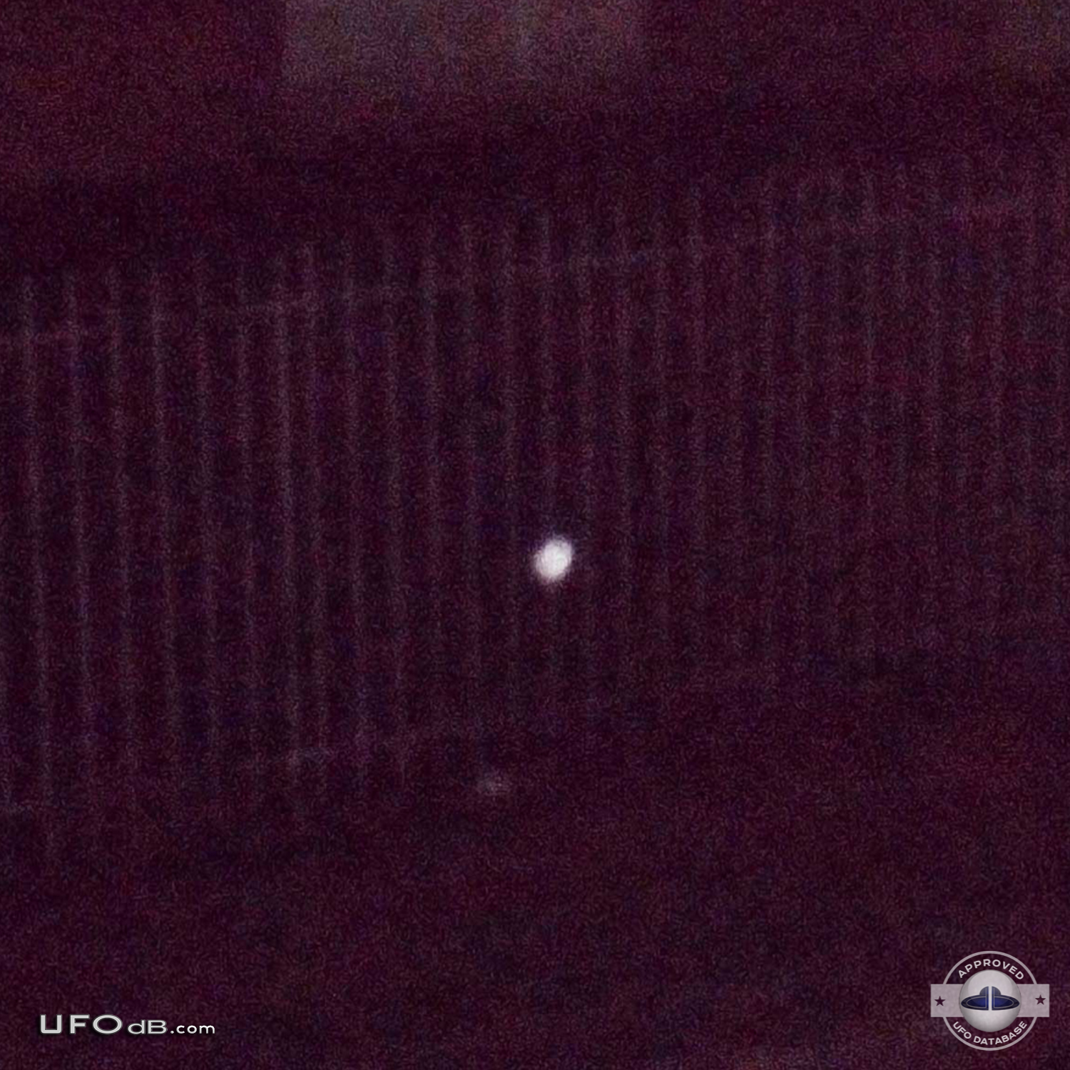 Picture of a Small white probe UFO caught in the backyard Bogota 2012 UFO Picture #400-2