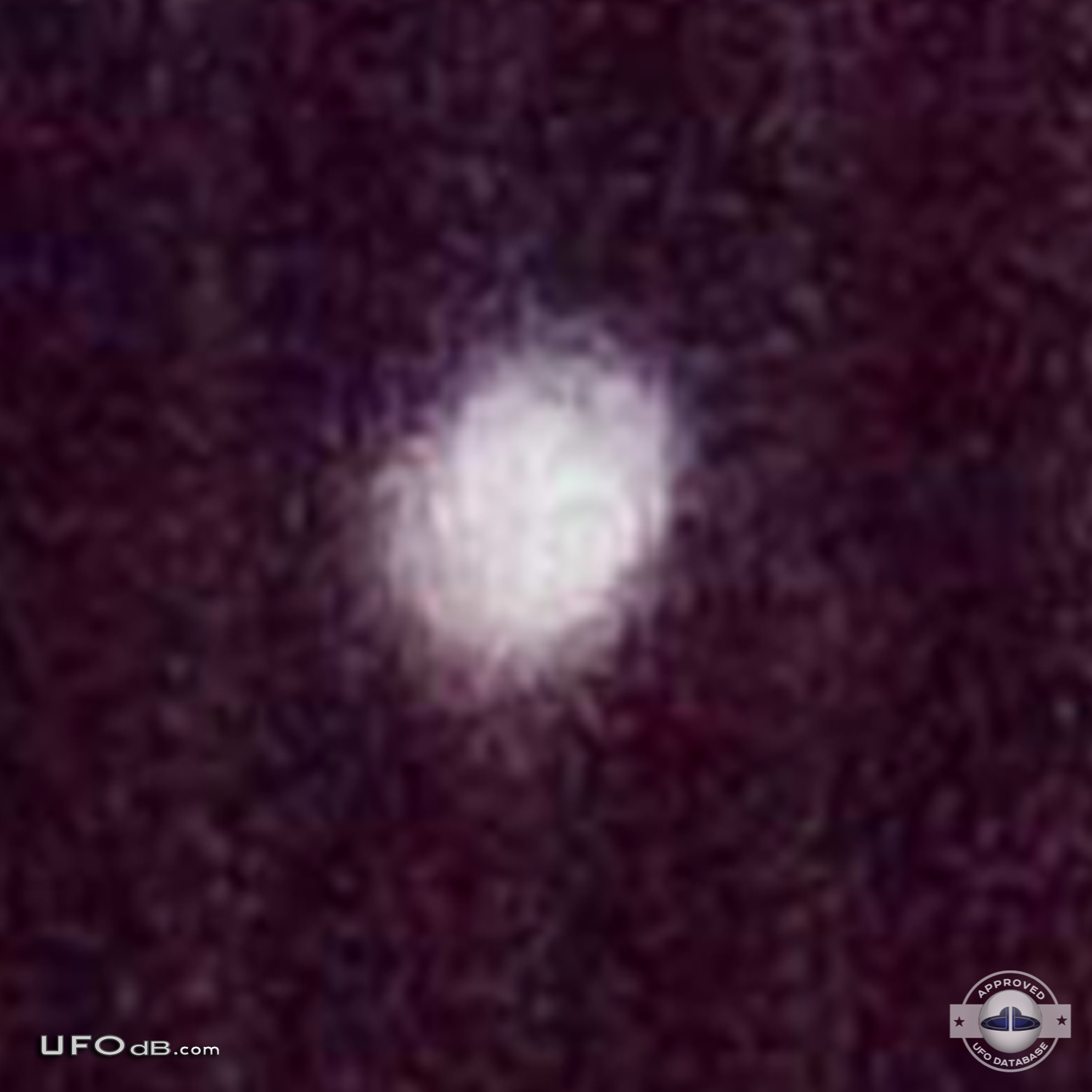 Picture of a Small white probe UFO caught in the backyard Bogota 2012 UFO Picture #400-4