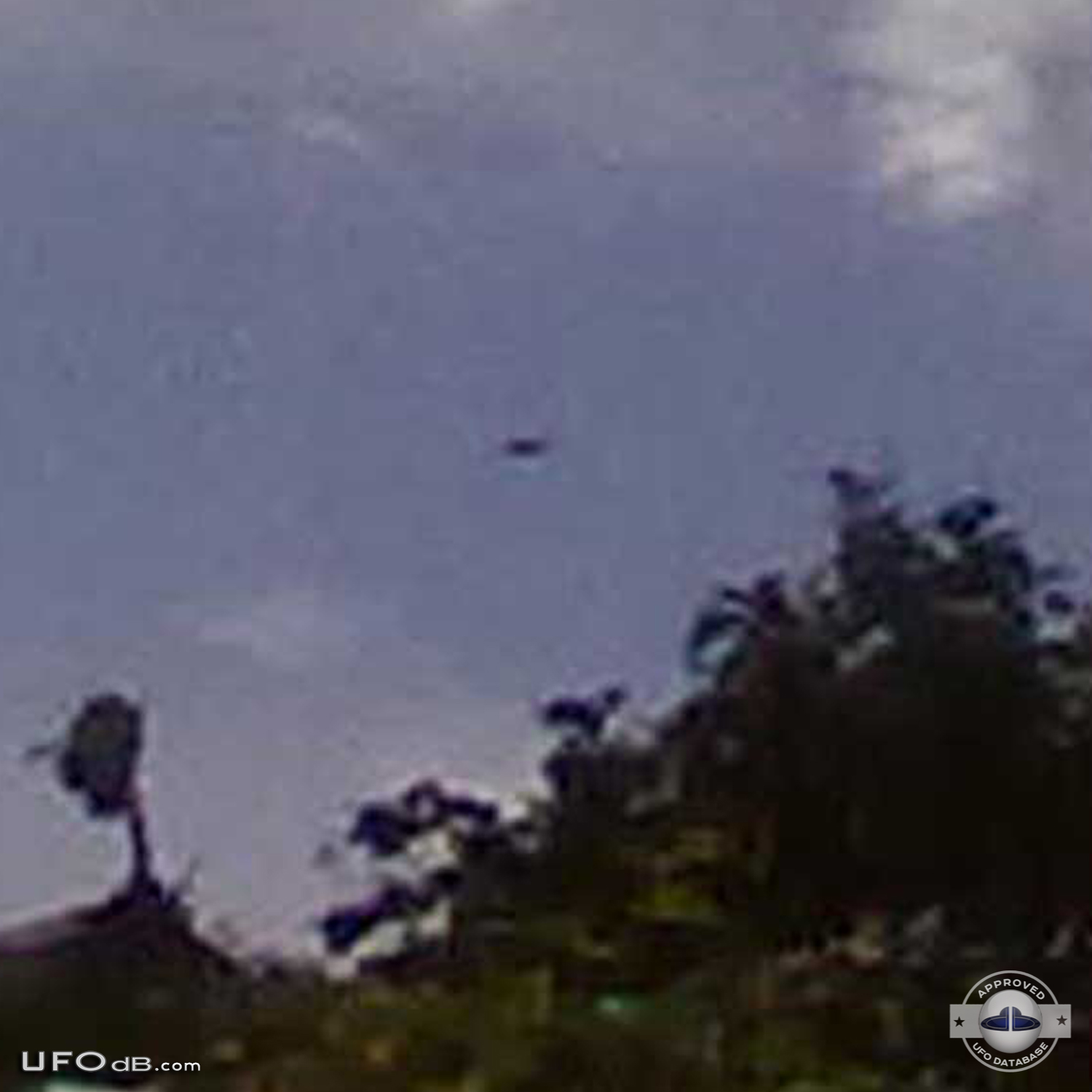 Newyorker with 170 ufo sightings gives us ufo pictures to prove it UFO Picture #401-6