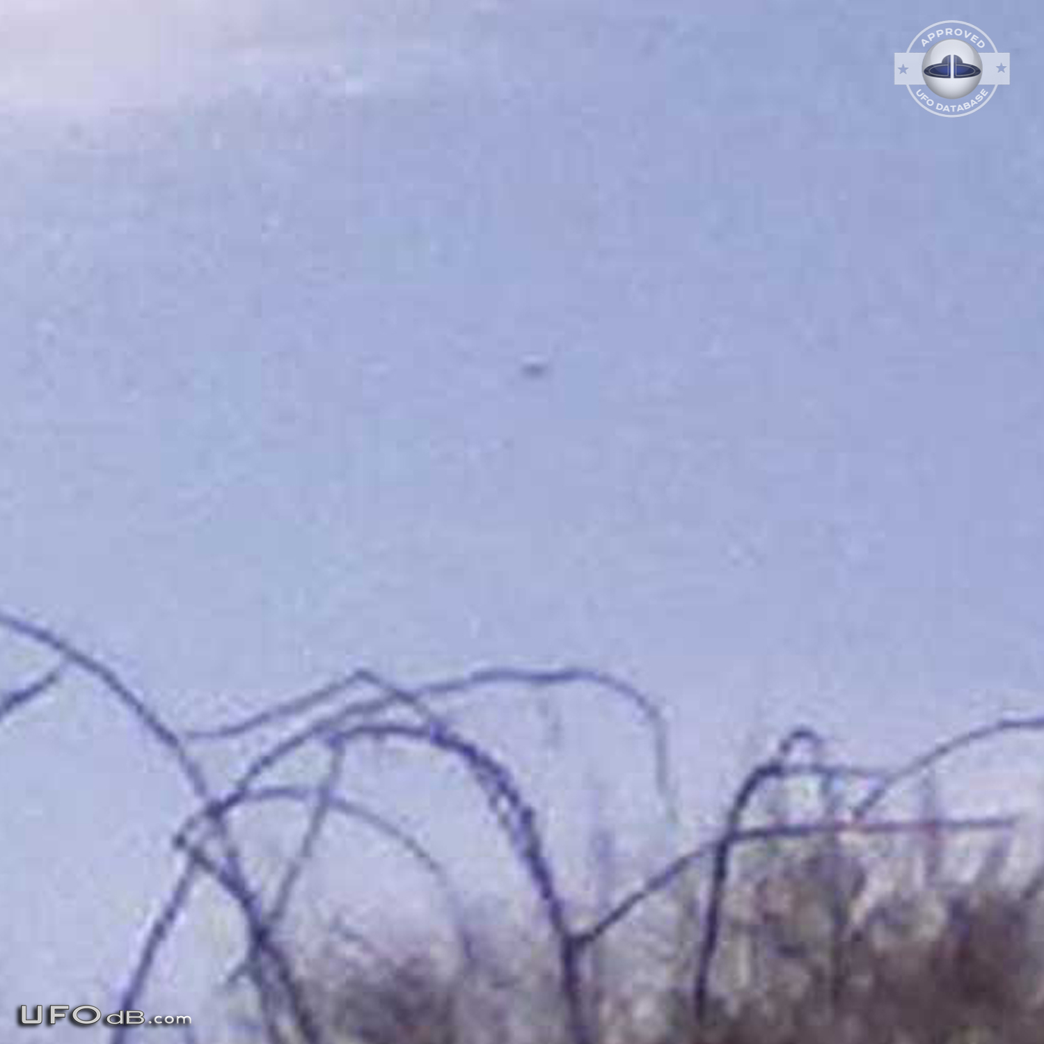 Newyorker with 170 ufo sightings gives us ufo pictures to prove it UFO Picture #401-8