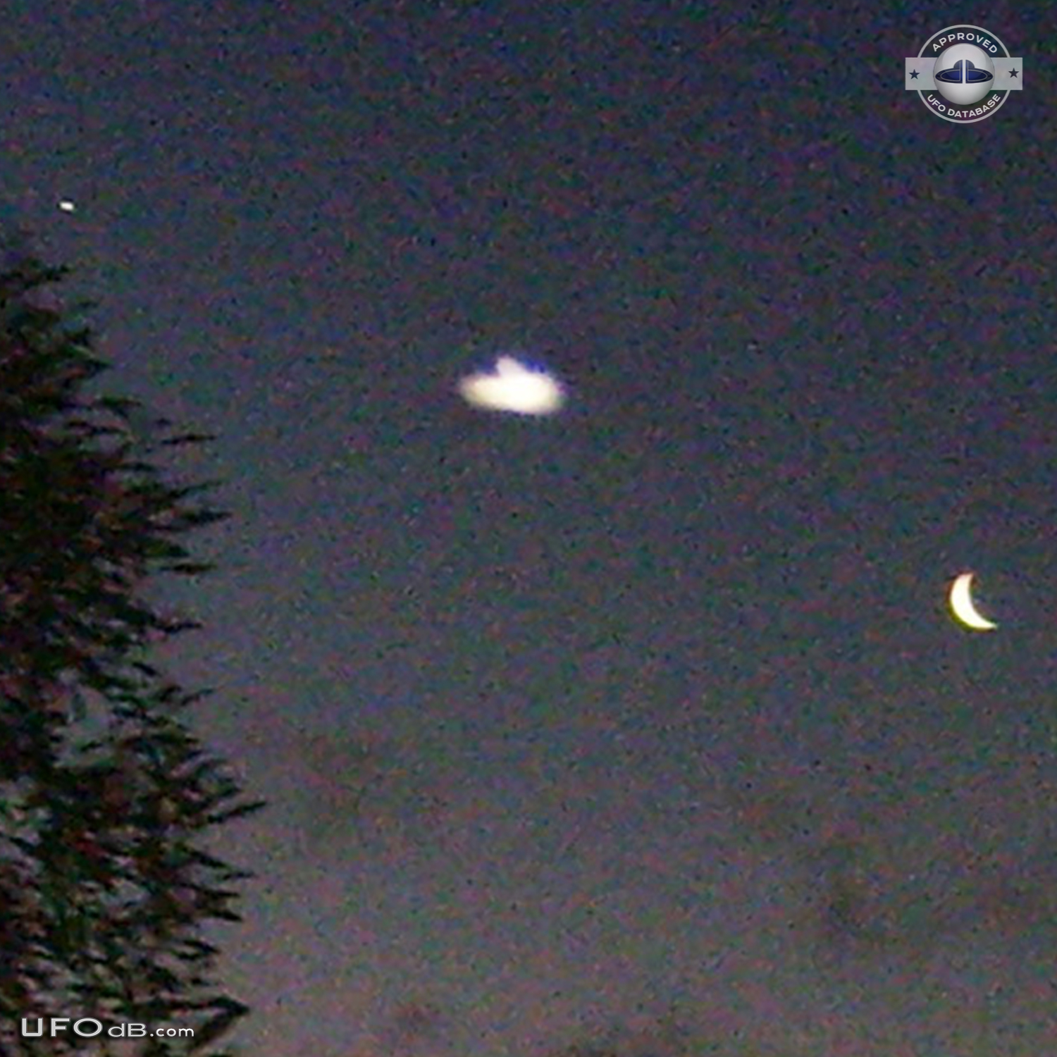 White Saucer ufo caught on picture at night over Curico, Chile - 2012 UFO Picture #406-3