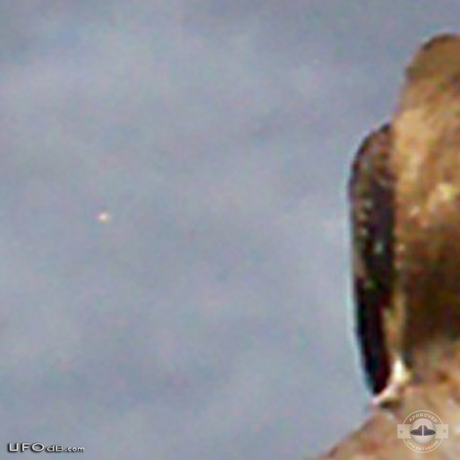 Bird photo captures two UFOs passing near Noosa Heads, Australia 2012 UFO Picture #411-5