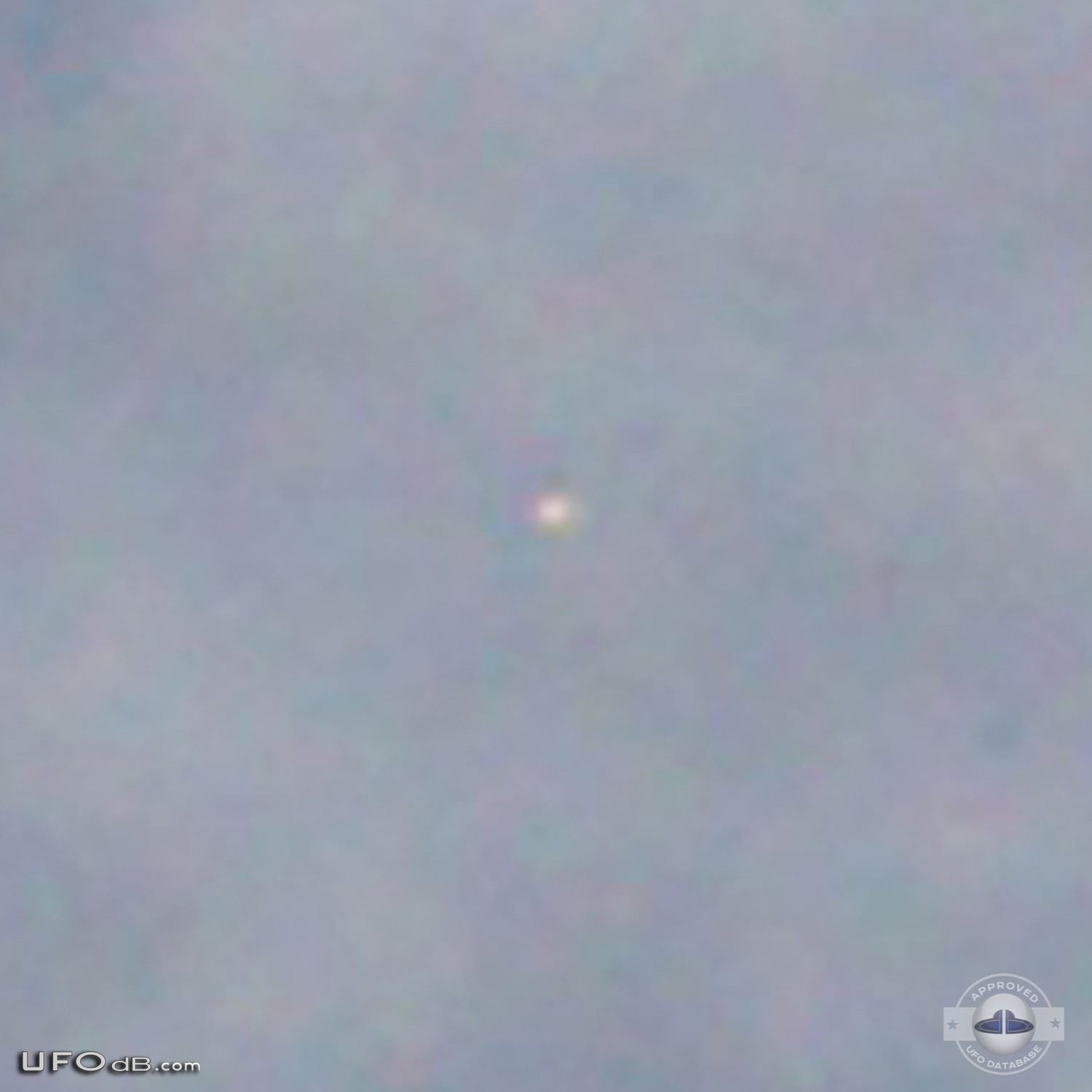 Bird photo captures two UFOs passing near Noosa Heads, Australia 2012 UFO Picture #411-6