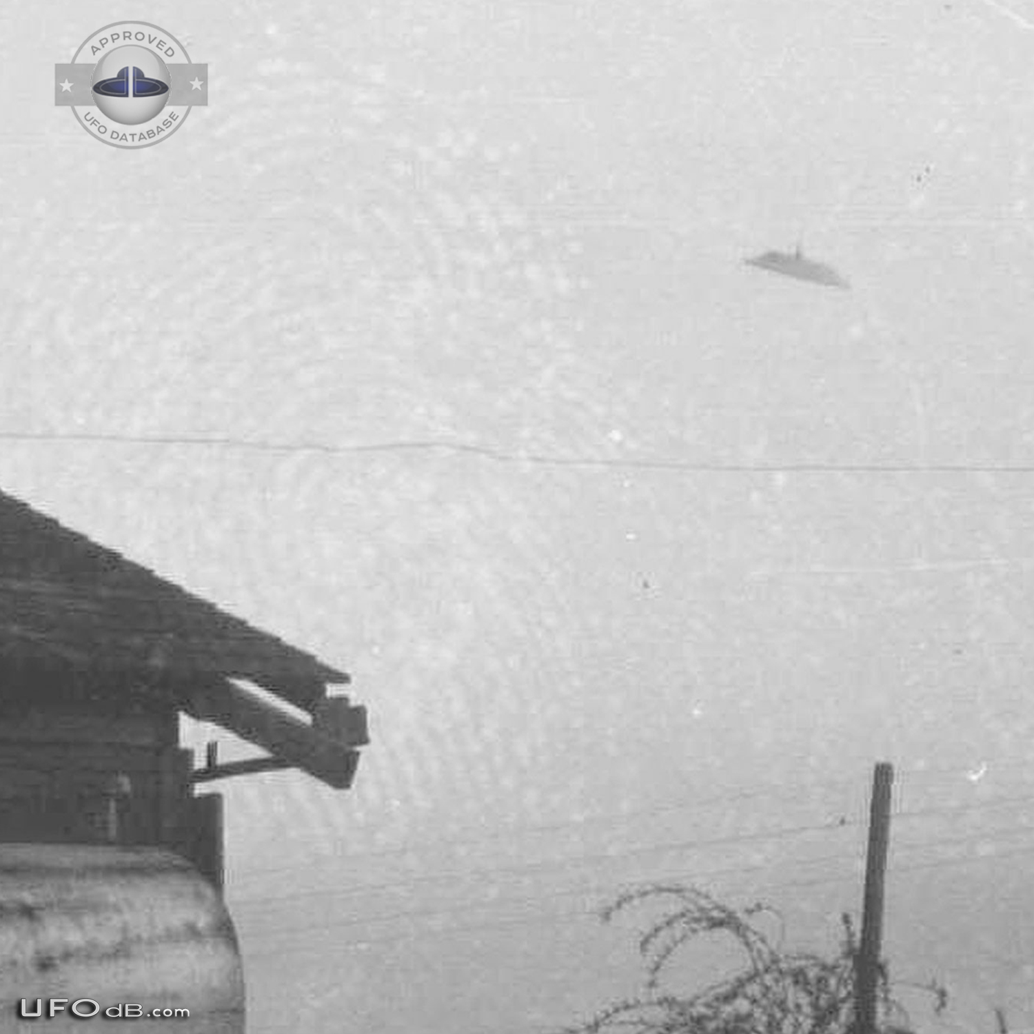 One of the Best UFO picture of all time - 1950 McMinnville, Oregon UFO Picture #423-7