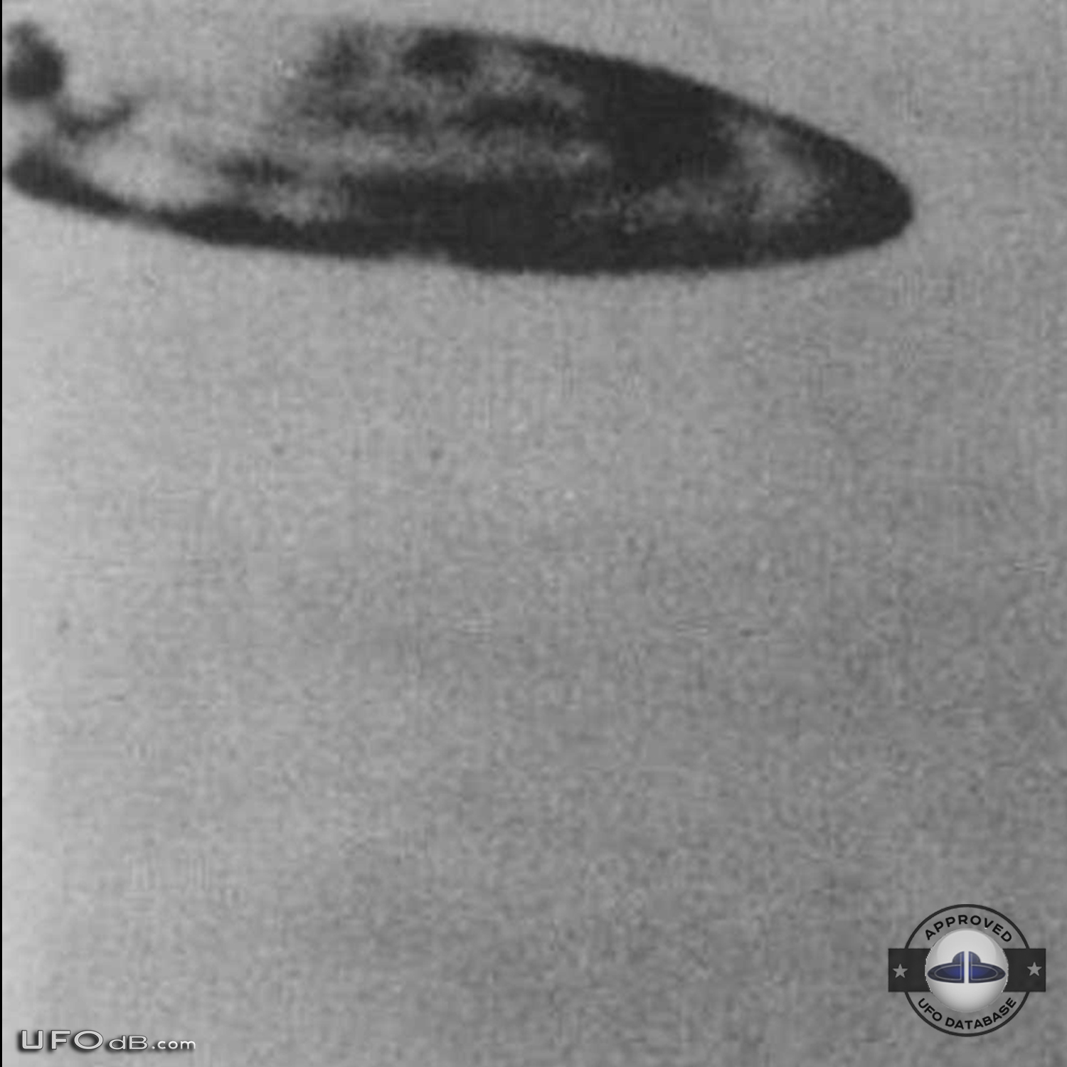 1950 Saucer UFO San Bernardino California USA caught on picture UFO Picture #433-3