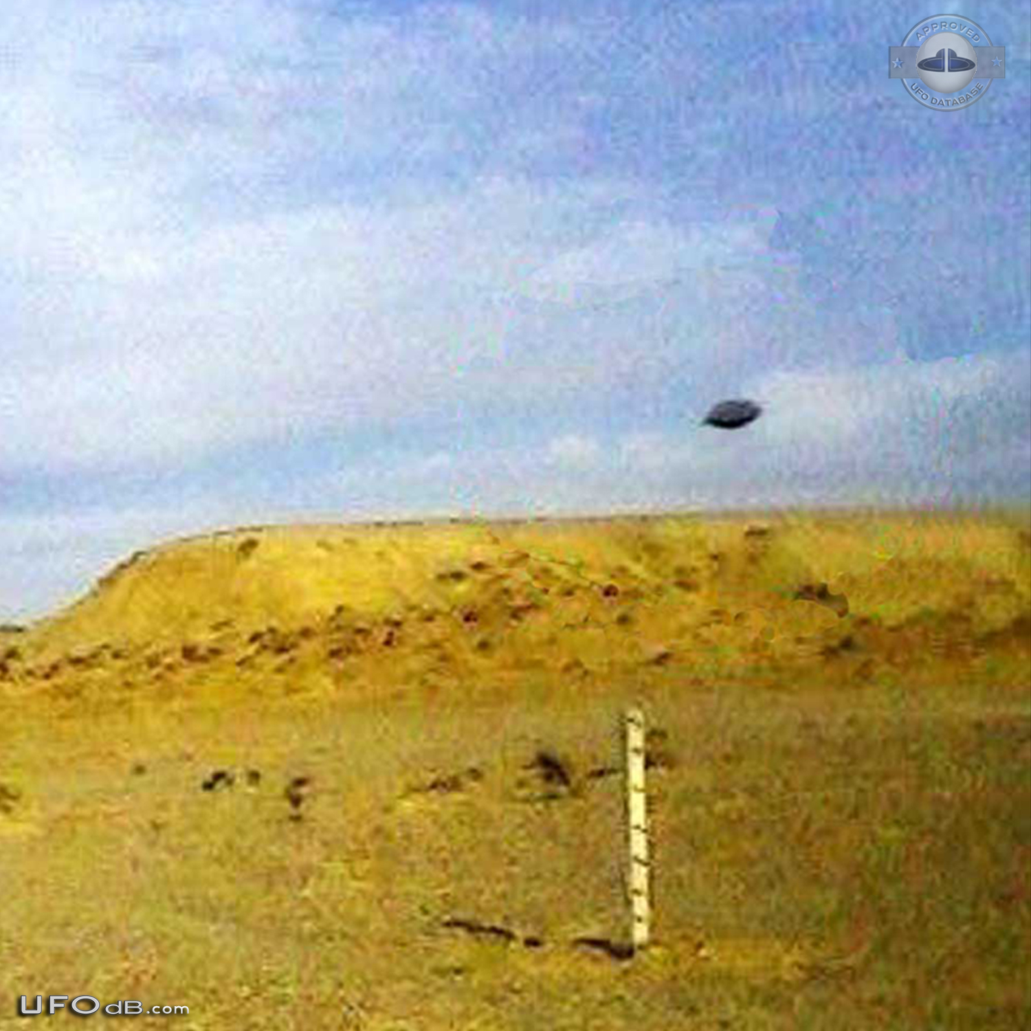 UFO in inner Mulei Mongolia, China caught on picture in November 2008 UFO Picture #439-3