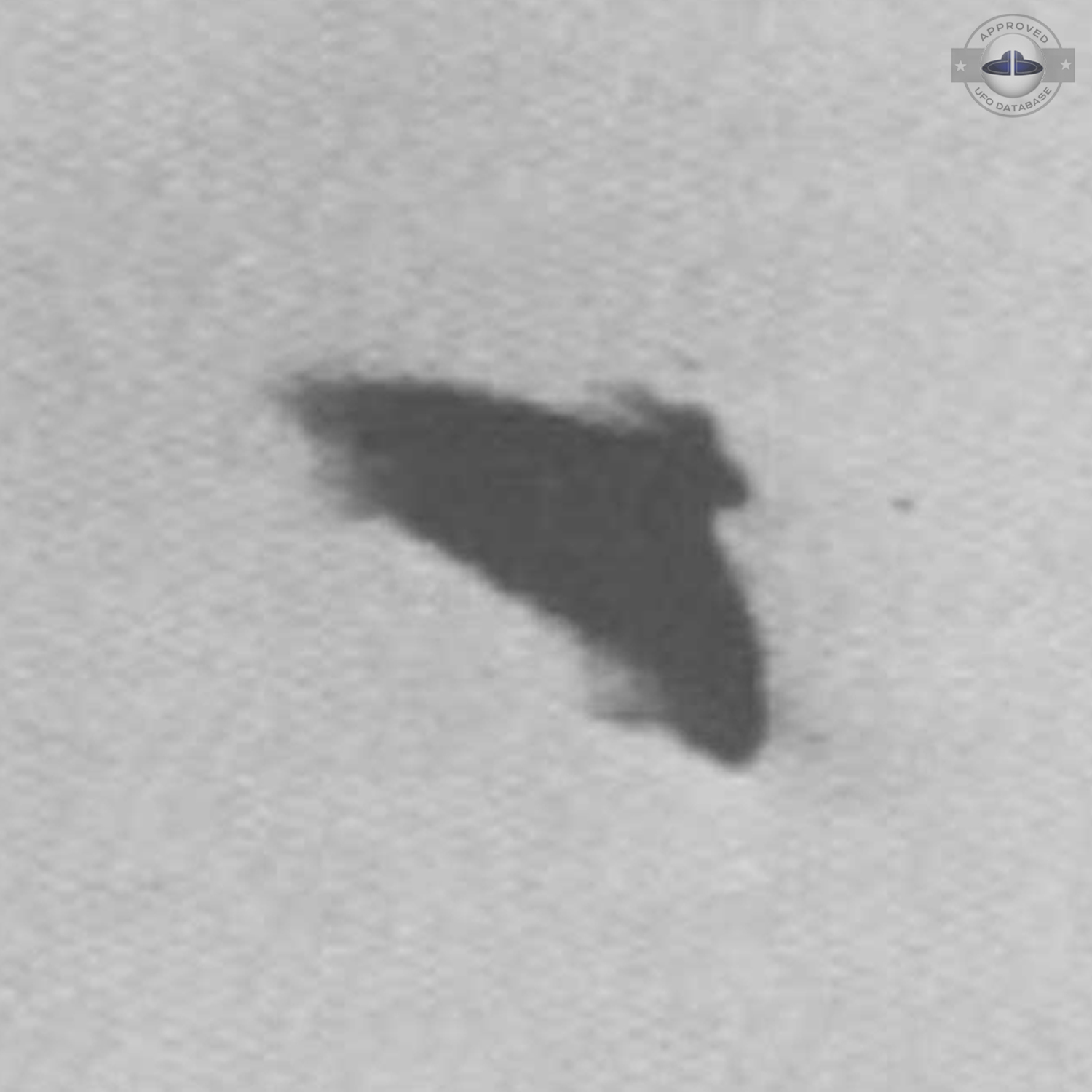 Bell Shaped UFO caught on picture in May 1975 in Chiba, Japan - Asia UFO Picture #447-3