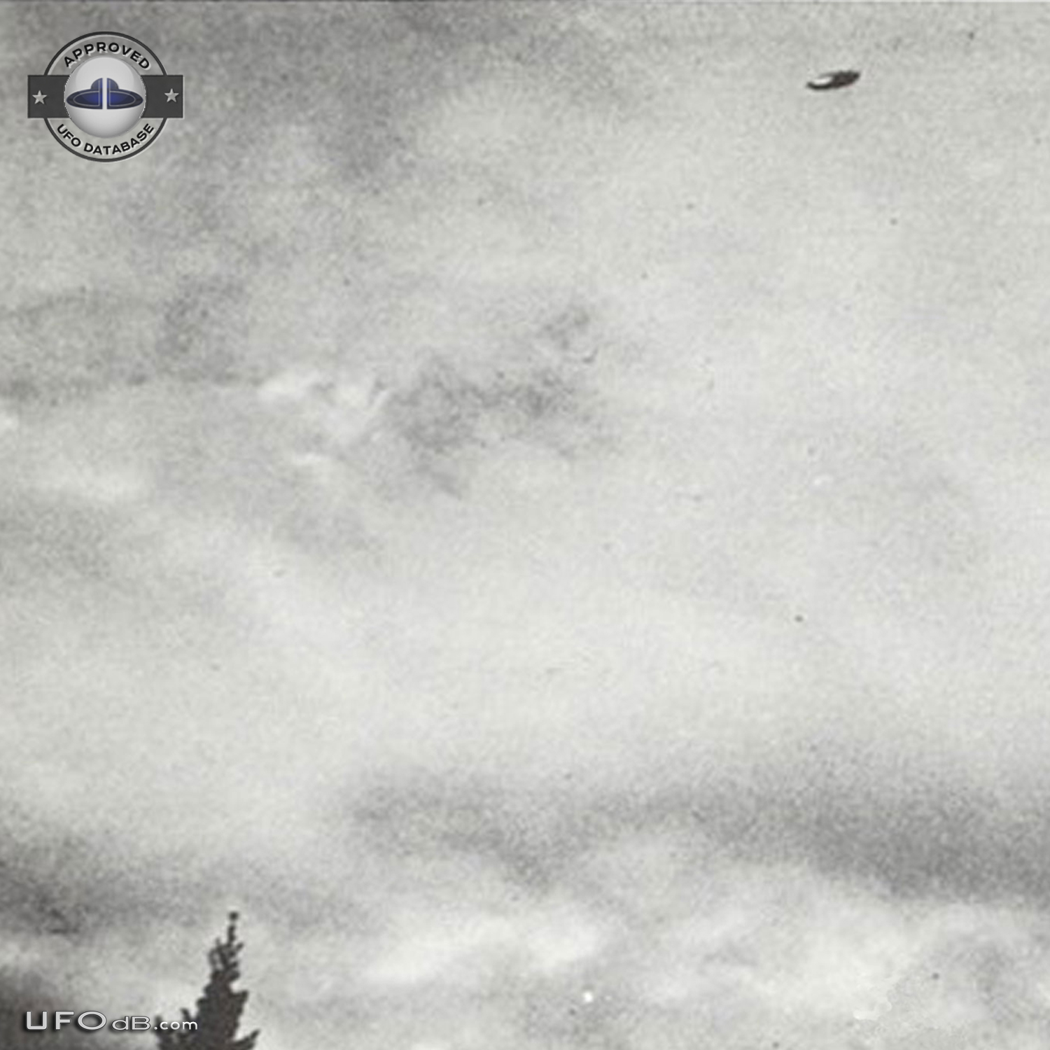 1967 Calgary UFO picture considered to be in the top 10 of all times UFO Picture #448-2