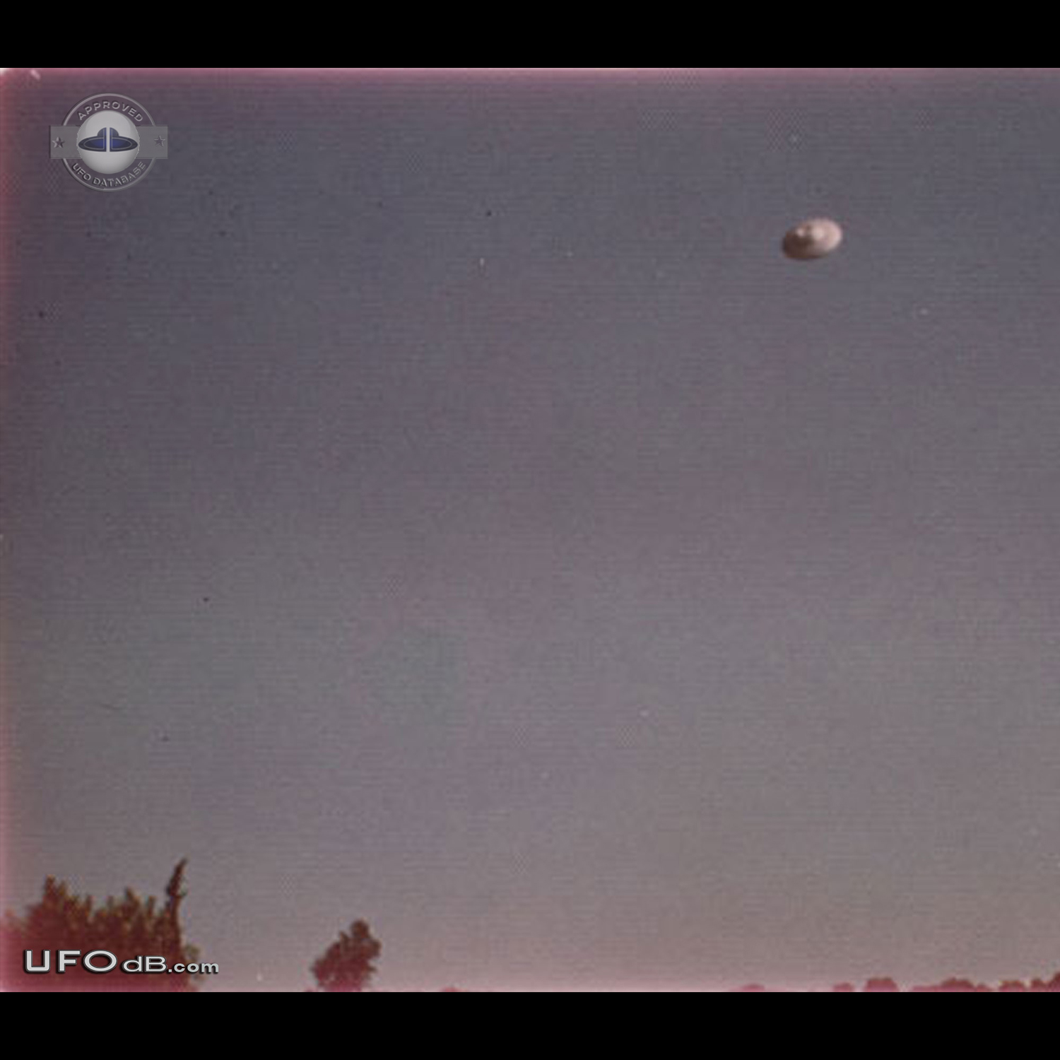 Famous Florida Uruguay UFO pictures sequence taken July 1977 UFO Picture #463-1