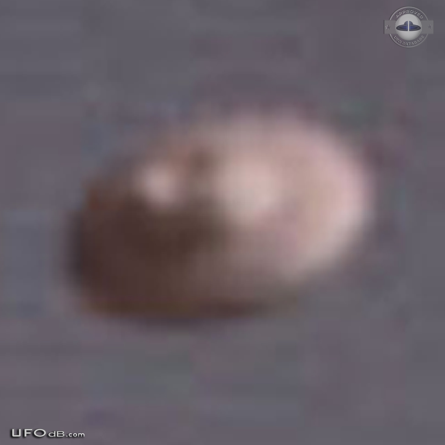 Famous Florida Uruguay UFO pictures sequence taken July 1977 UFO Picture #463-4