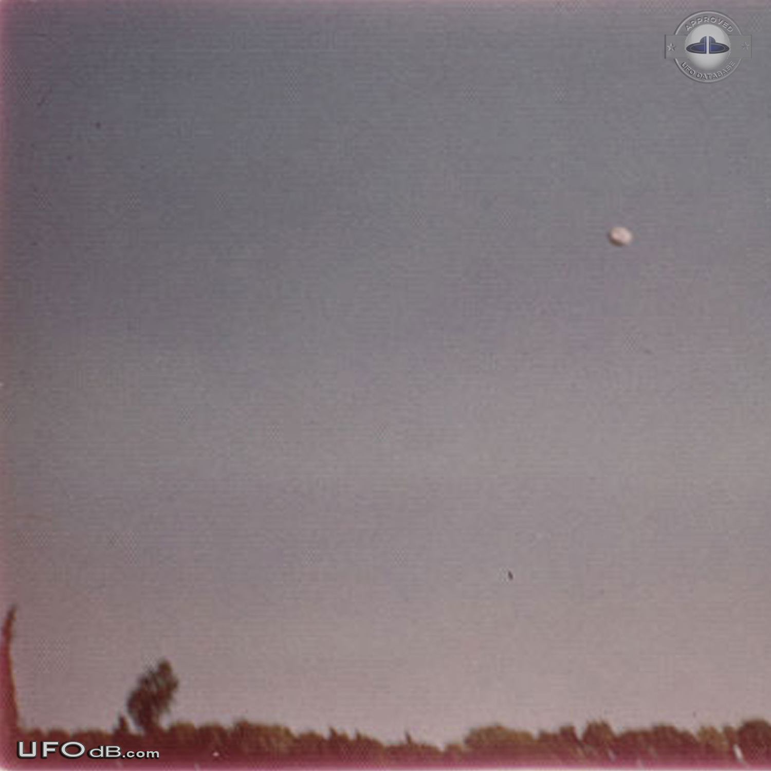 Famous Florida Uruguay UFO pictures sequence taken July 1977 UFO Picture #463-5