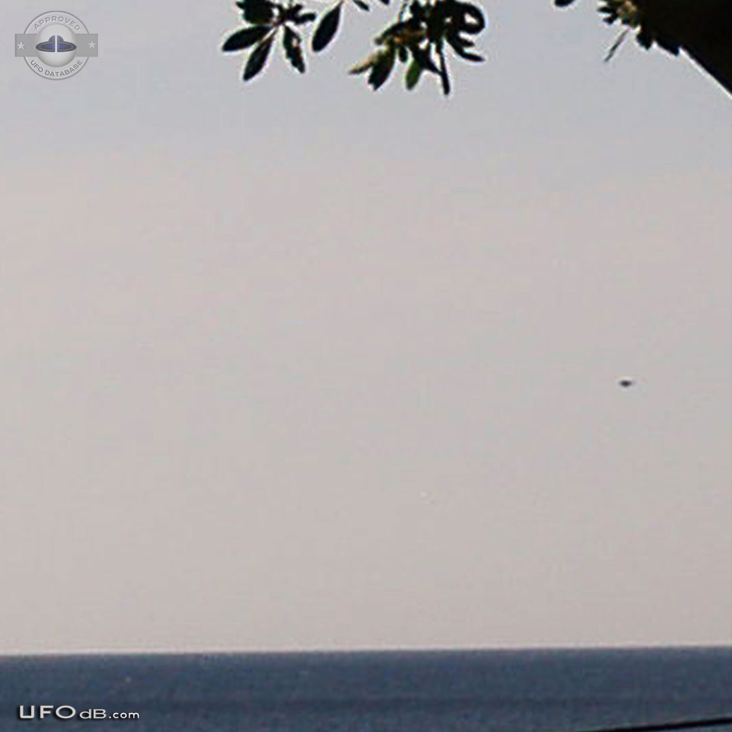 Professional photographer get UFOs over the sea in Negril Jamaica 2007 UFO Picture #466-2