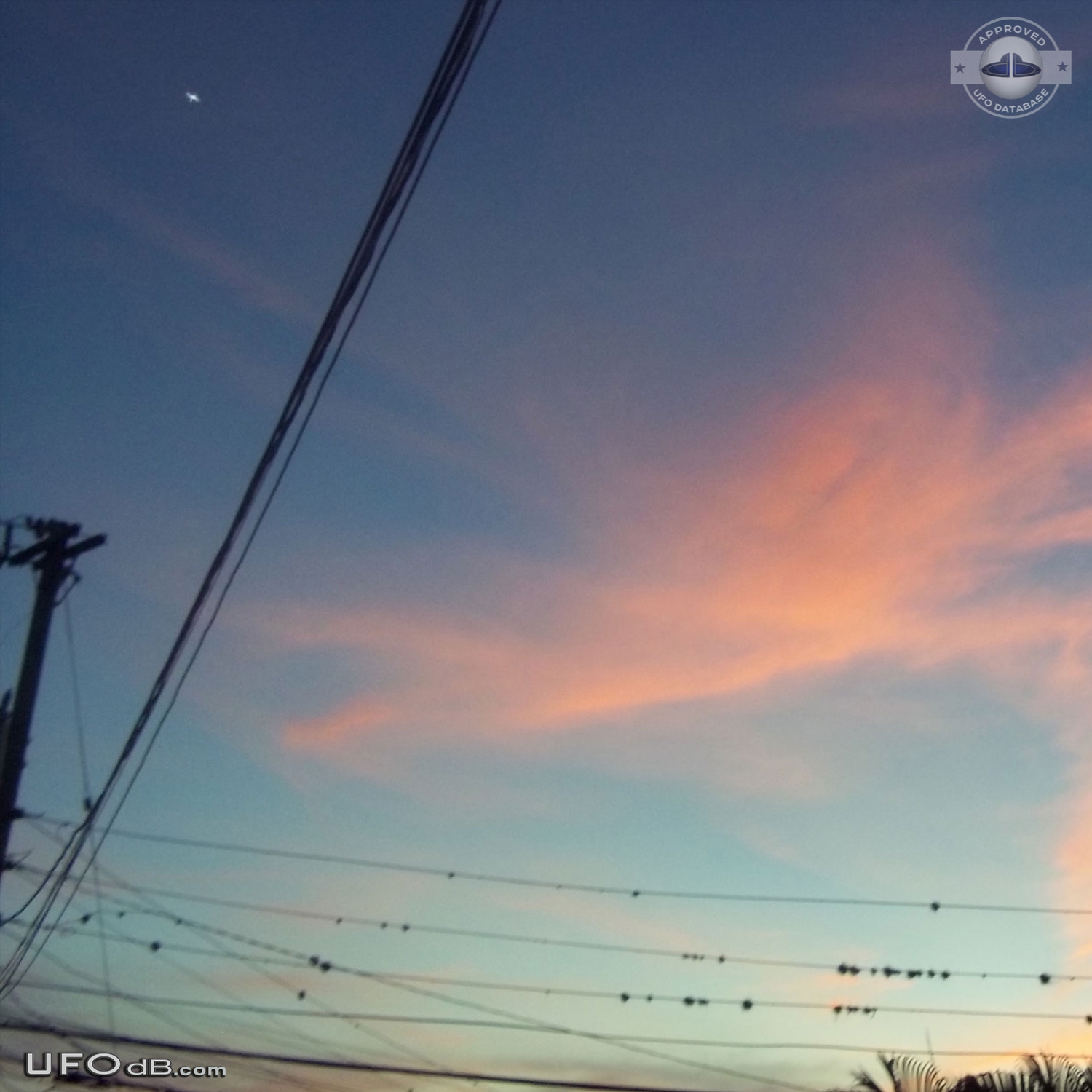 Picture of Sunset Sky captures a UFO over Kingston, Jamaica - 2010 UFO Picture #470-1