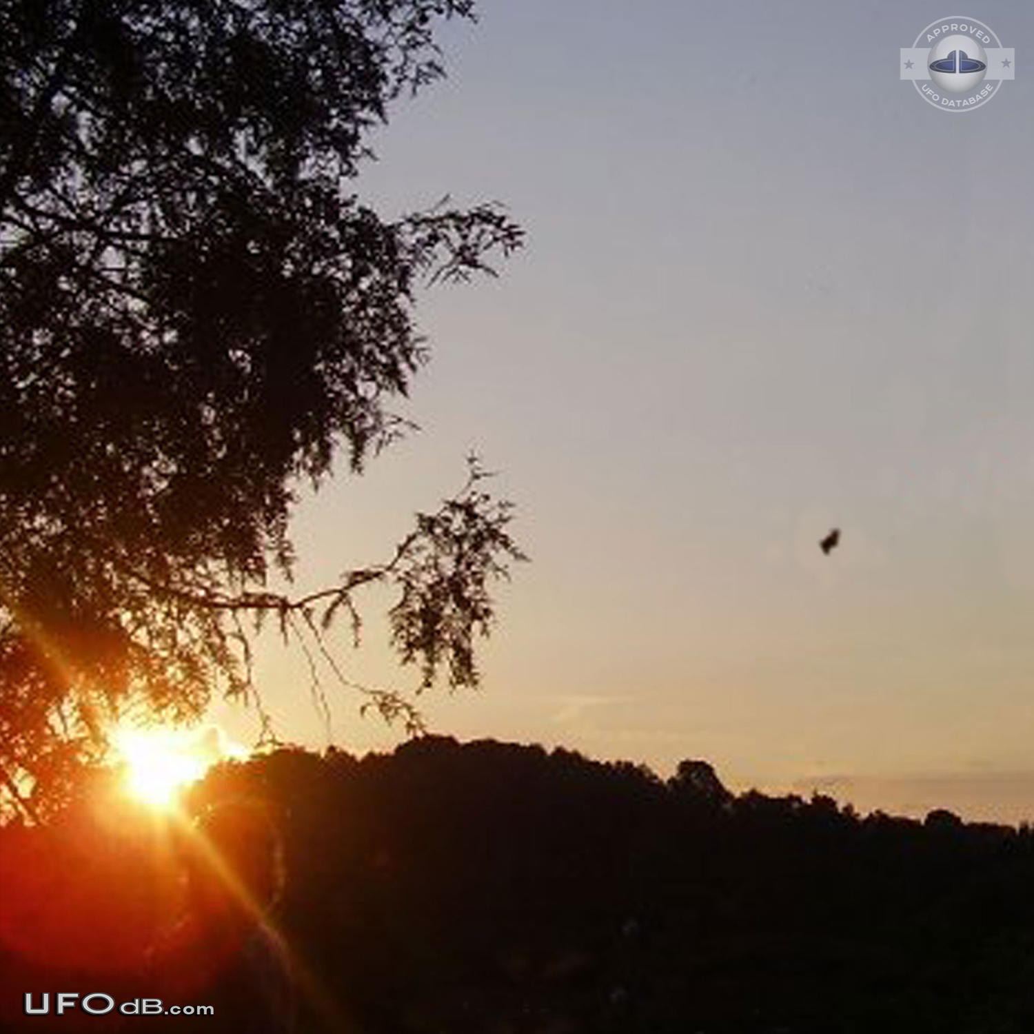 Bright metallic UFO caught on picture over Nasice, Croatia in May 2008 UFO Picture #471-1