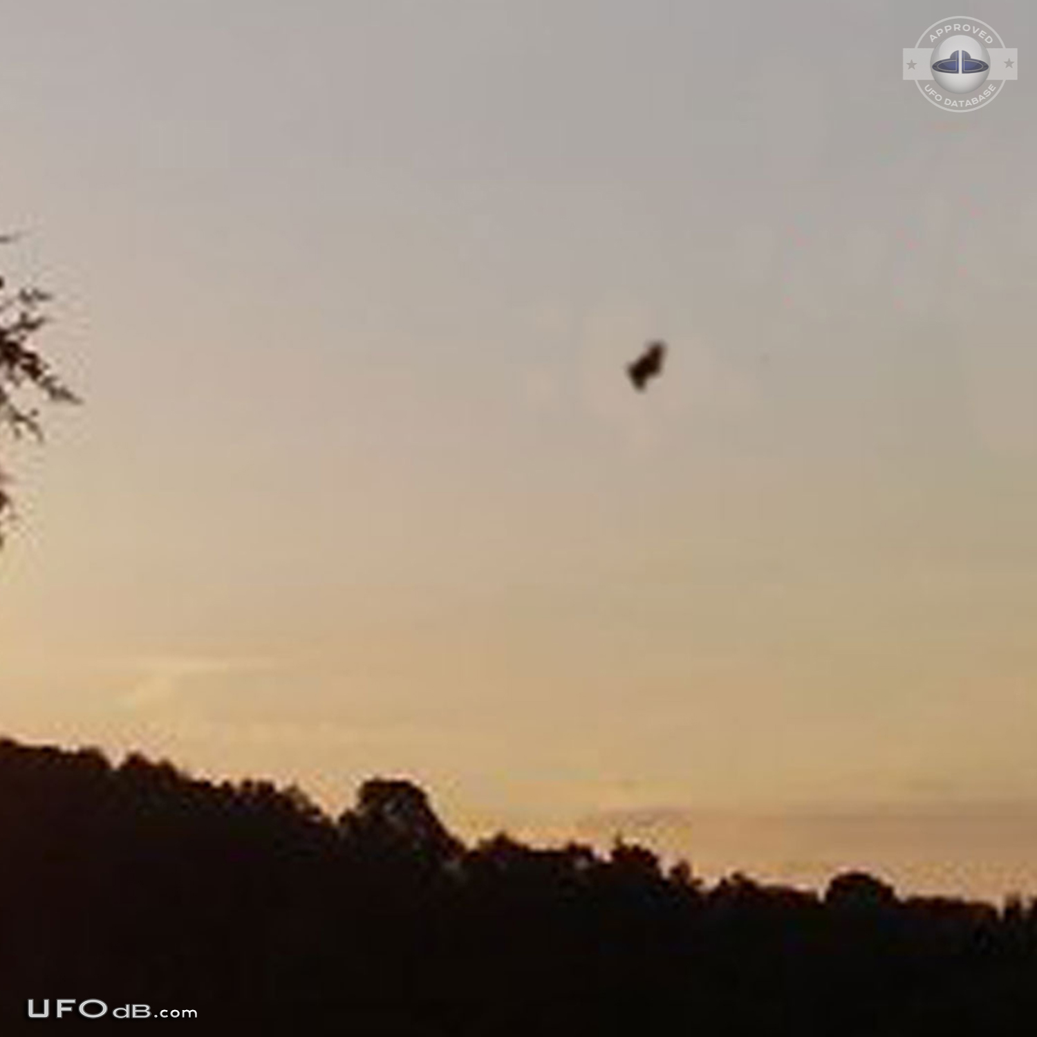 Bright metallic UFO caught on picture over Nasice, Croatia in May 2008 UFO Picture #471-2