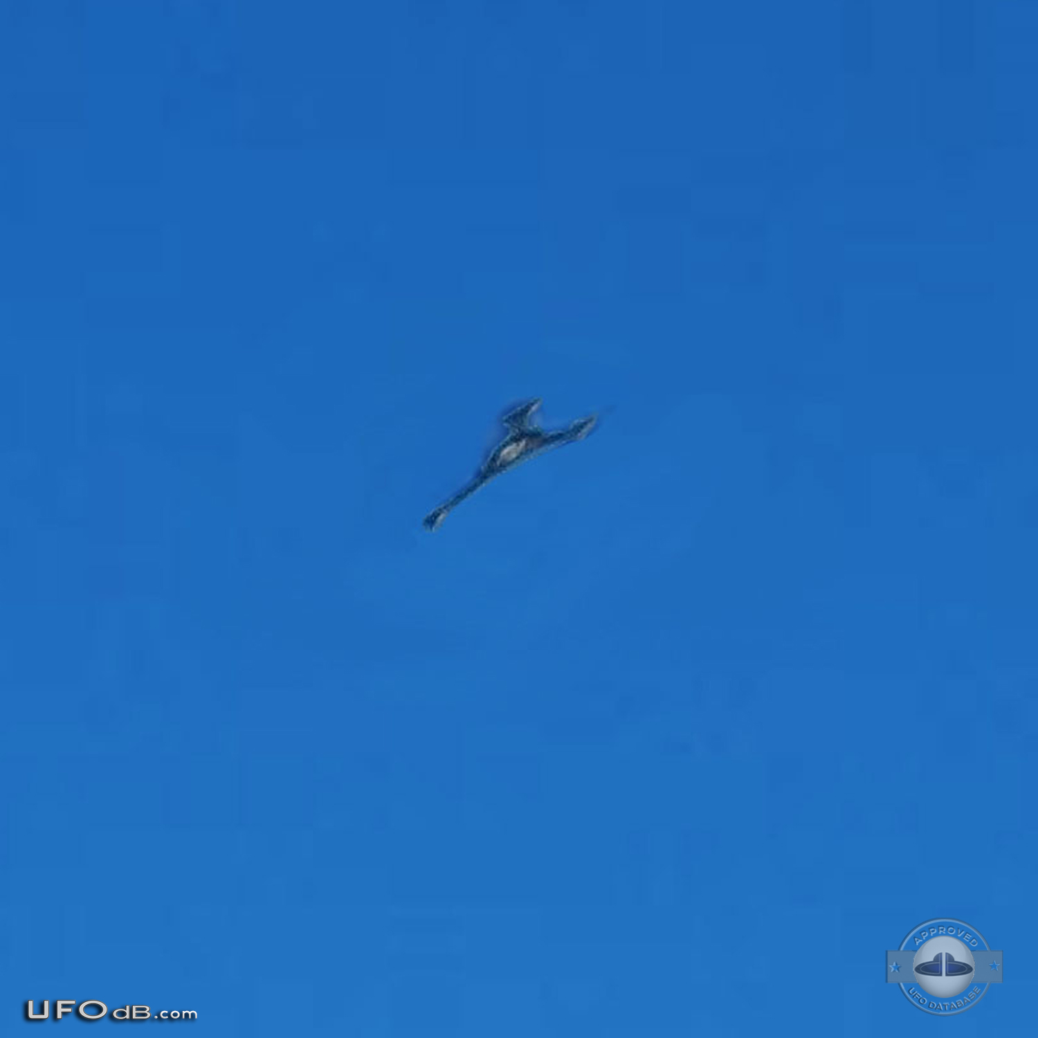 UFO similar to Star Trek Klingon ship seen over Canary Island in 2011 UFO Picture #483-3