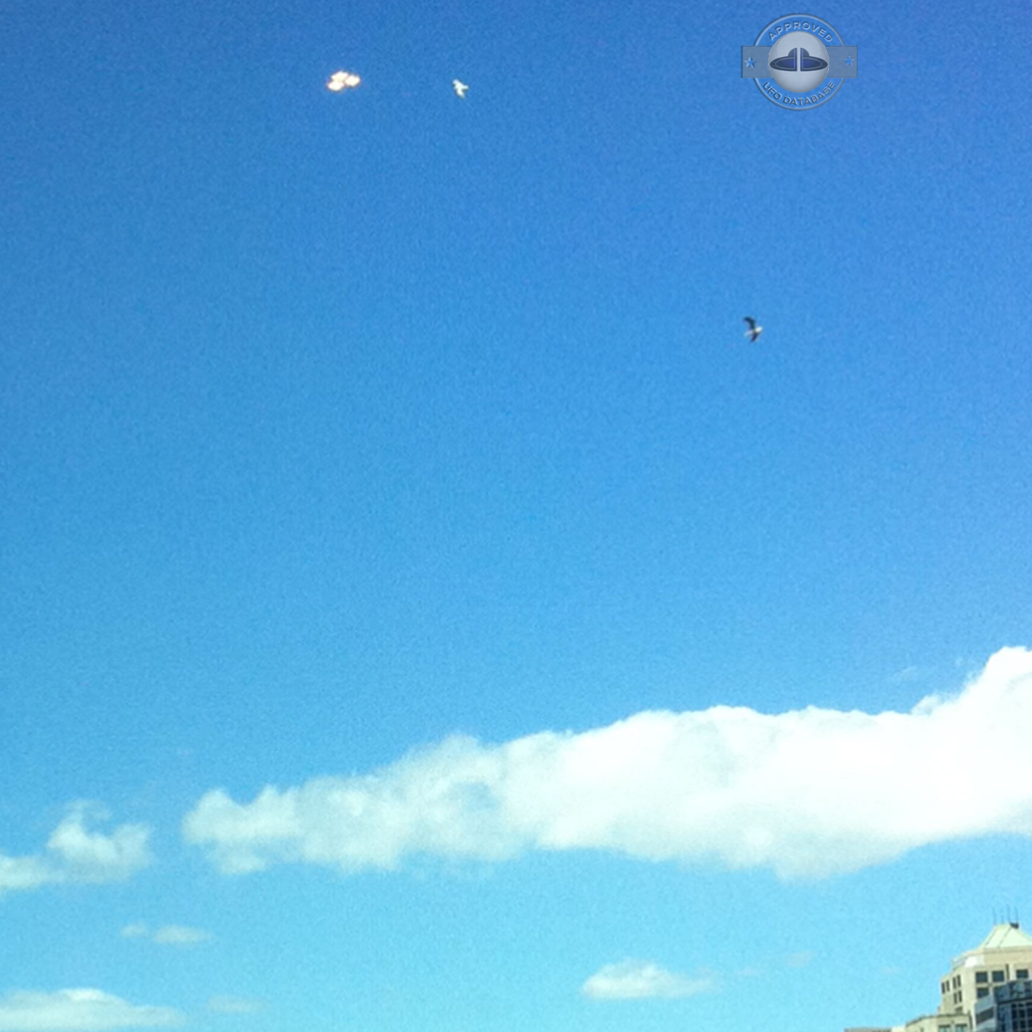 Three UFO saucers in triangular formation in Melbourne Australia 2011 UFO Picture #493-2